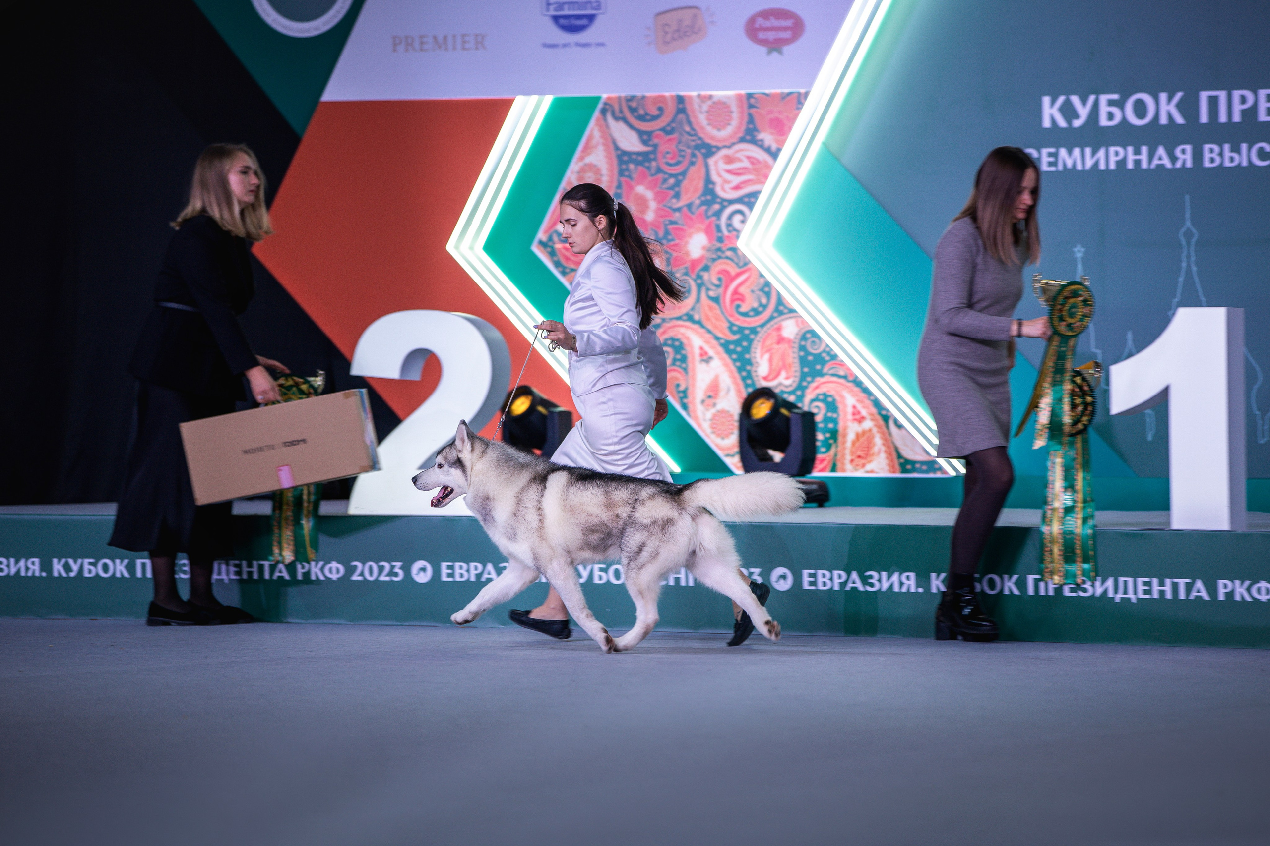 Евразия 2023. Фотограф анималист в Москве Майорова Евгения