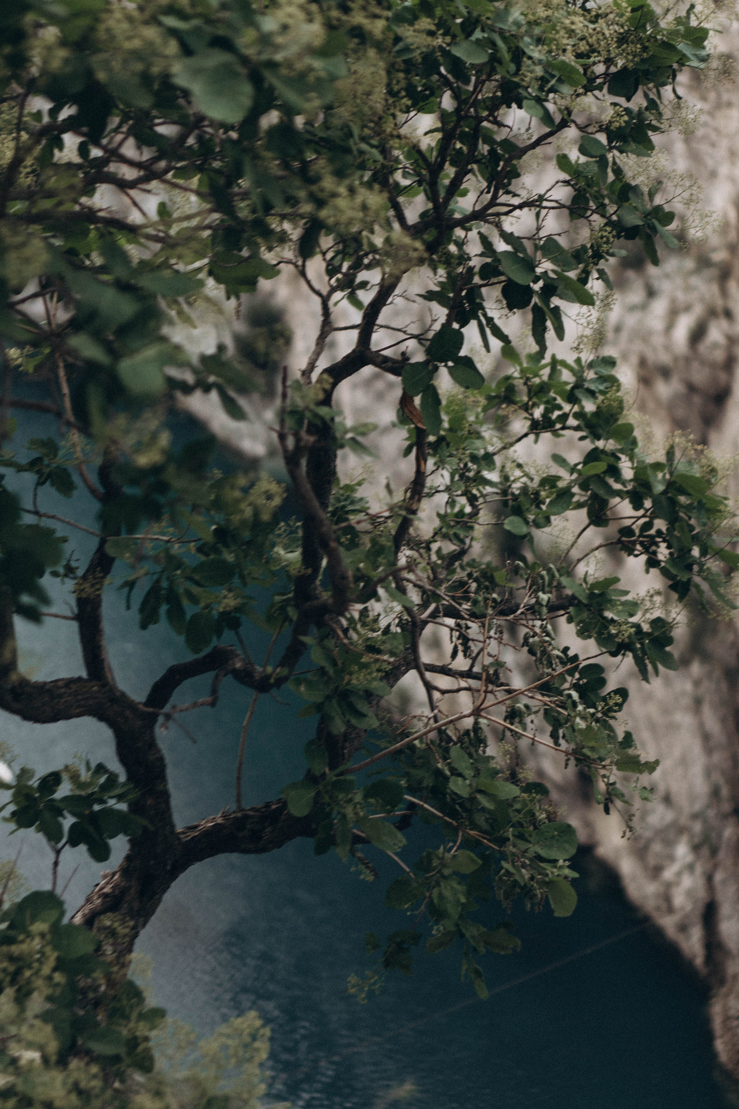 Кавказ. Профессиональный фотограф, Санкт-Петербург — Виктория Богомолова