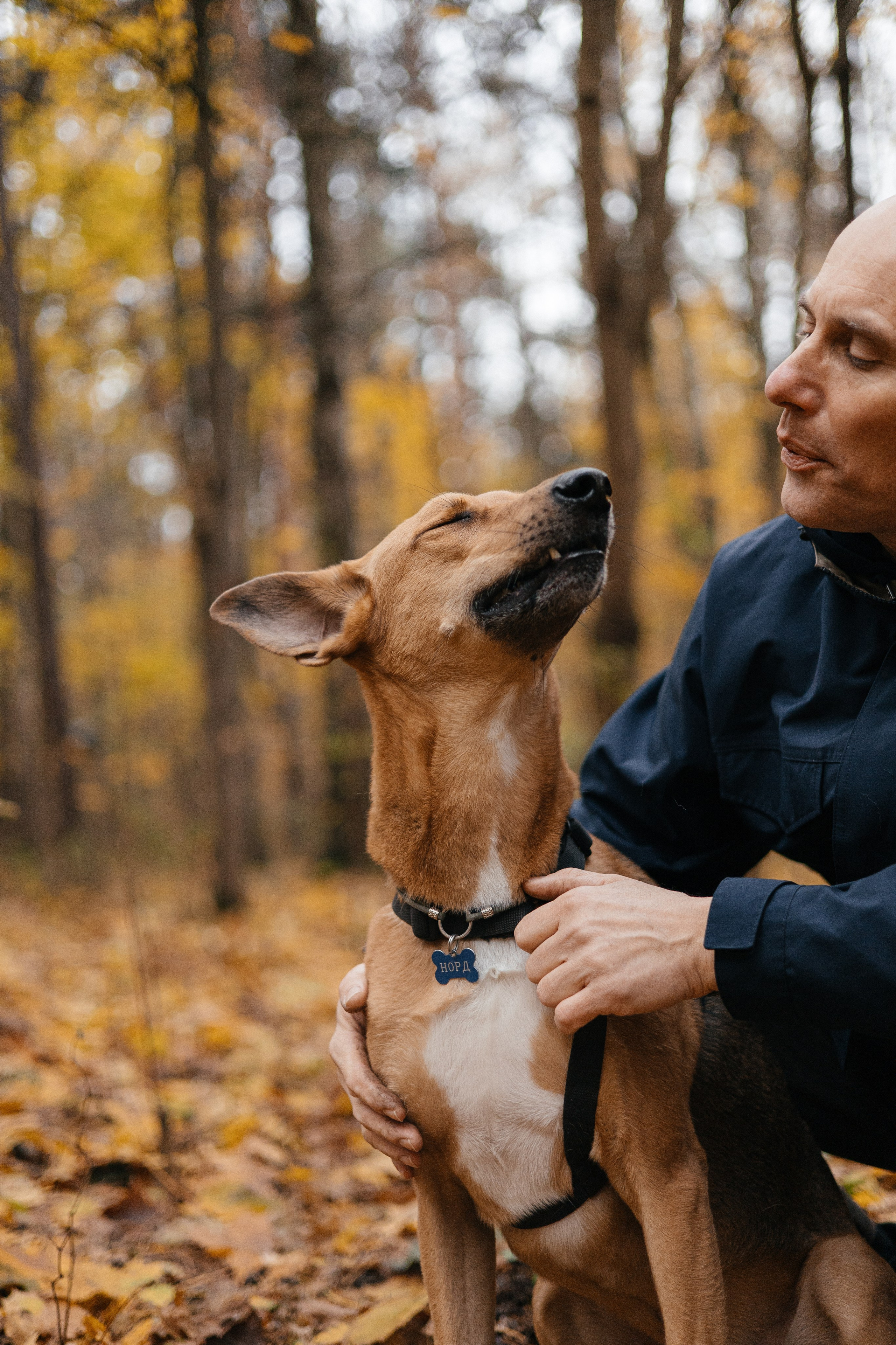 Нелли, Лёша, Рэй и Норд. Фотограф Анна Луценко Москва