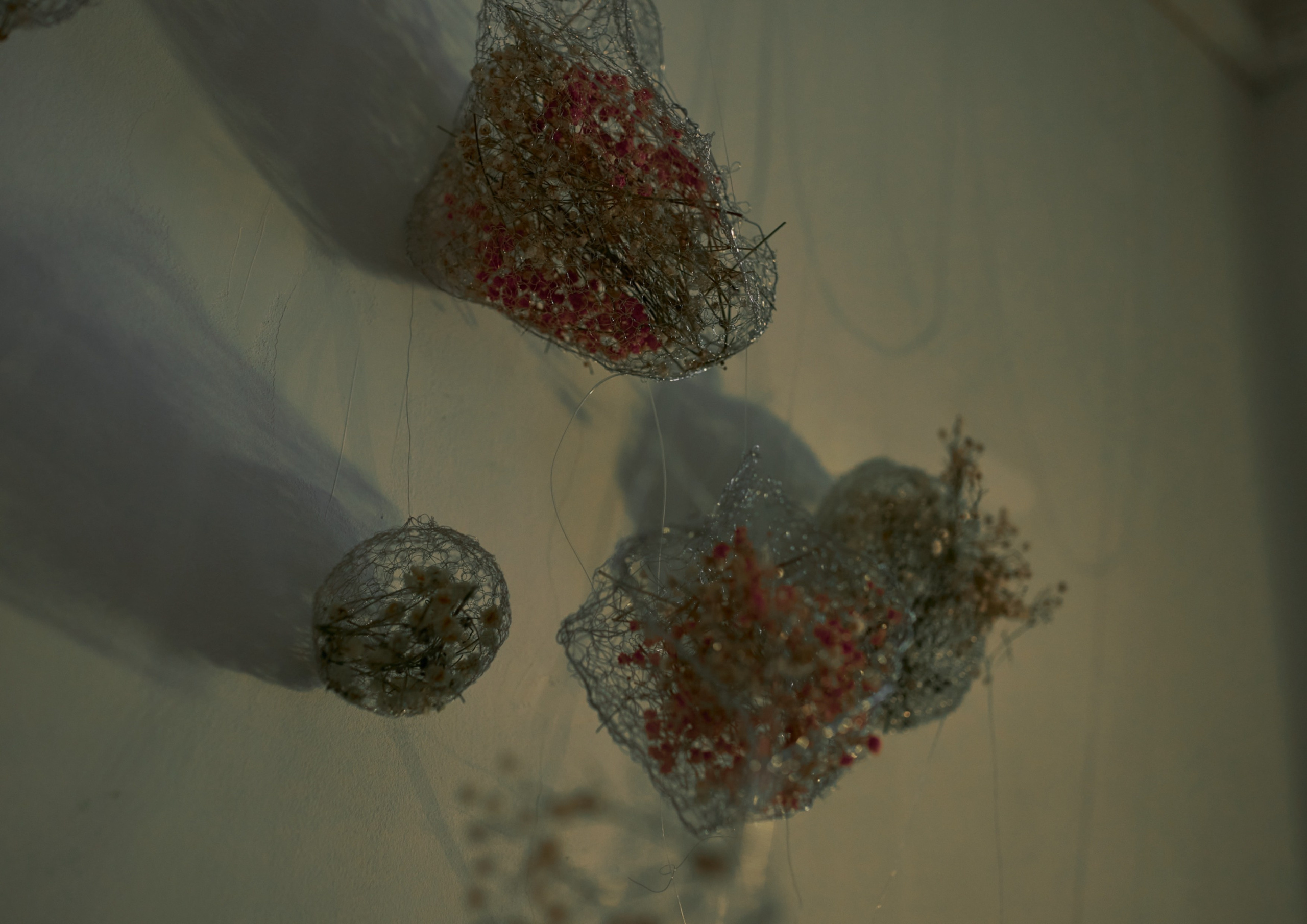 White: The beginning|The end. Mmiore