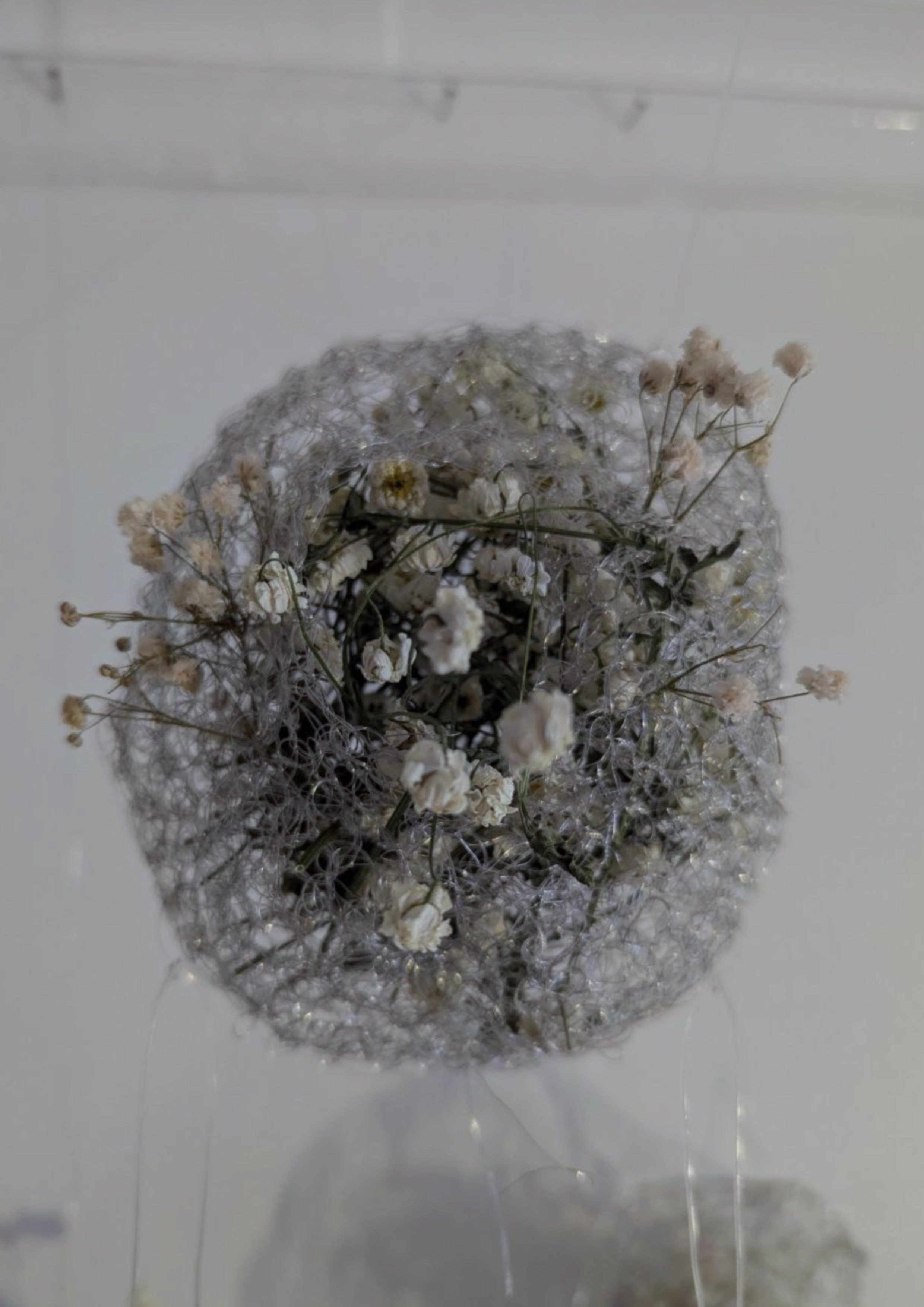 White: The beginning|The end. Mmiore