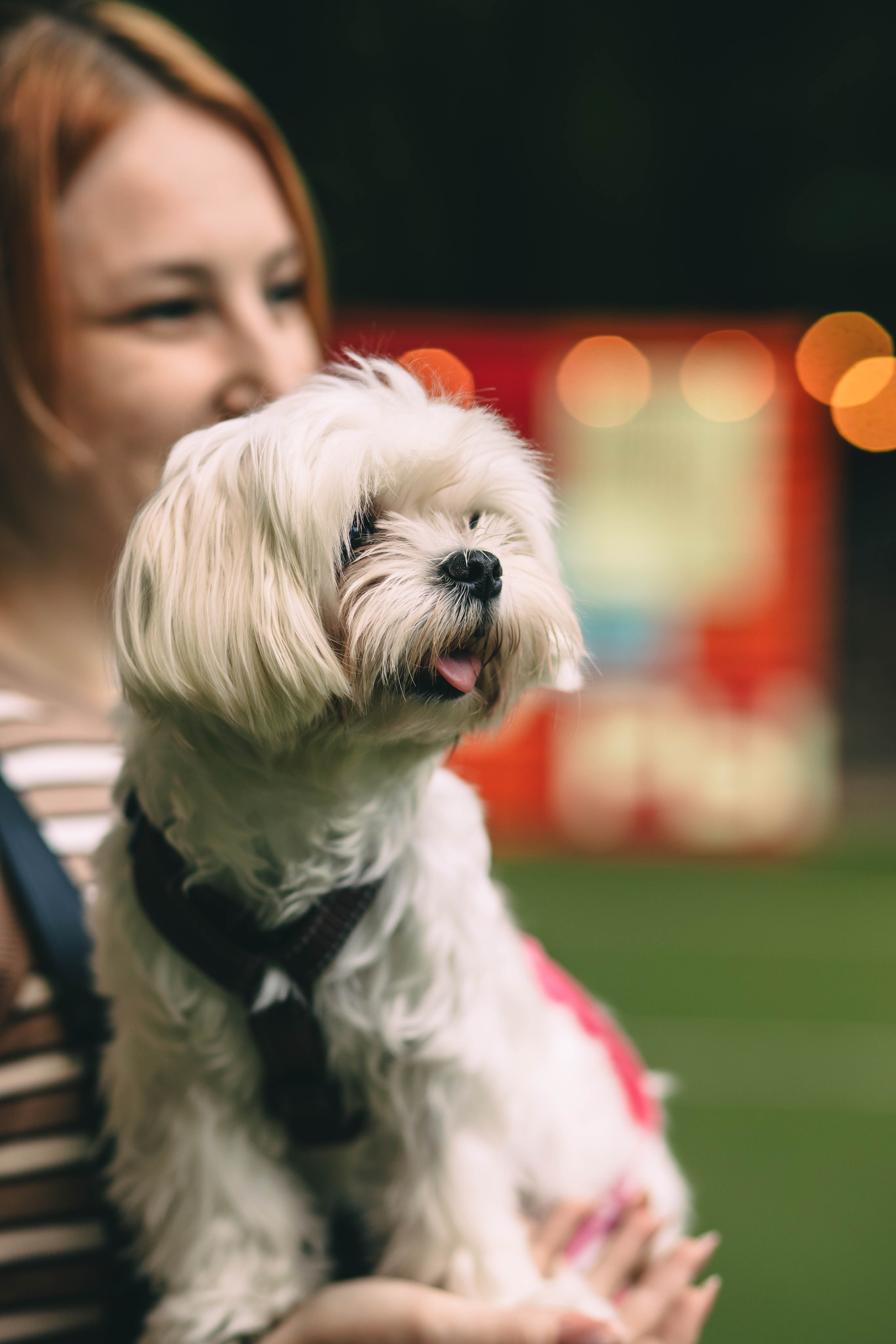 Pet-Party + Live-music |Парк Культуры. Фотограф в Ставрополе Алина Клочкова