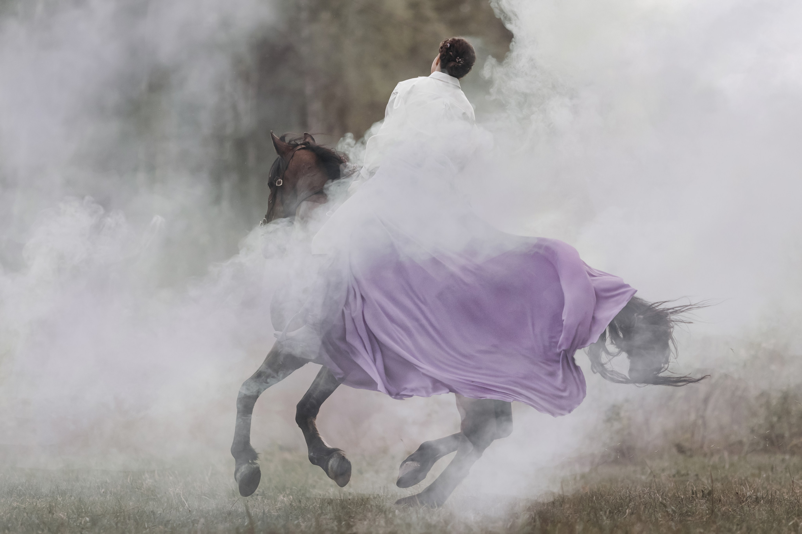 Настюшка. Анна Молчанова конный фотограф в Тюмени | фотосессии с лошадьми Тюмень