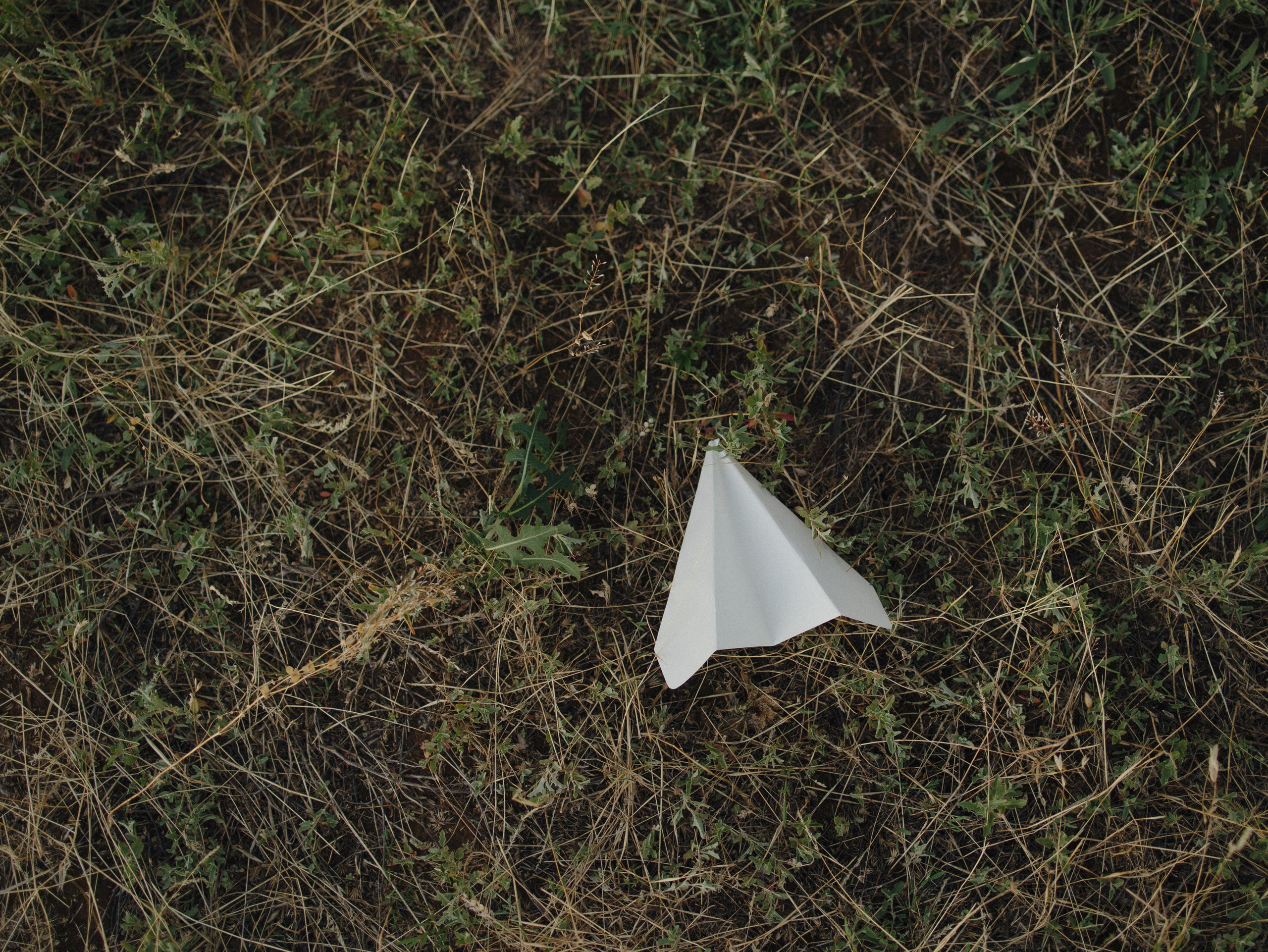 Свадебные серии. Photograph Svetlana Volkova