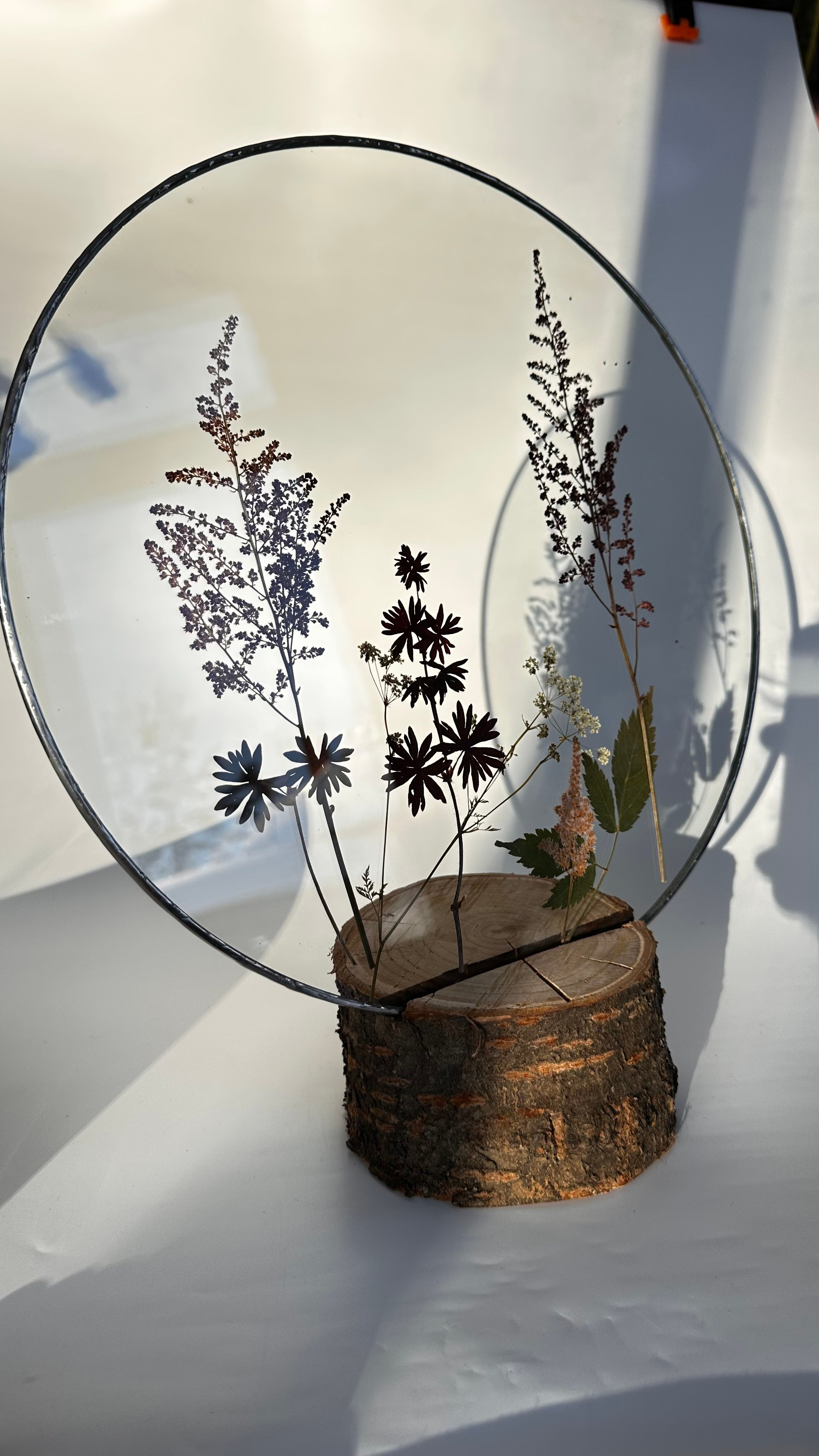 Гербарий в стекле с сухоцветами (витраж в технике тиффани). Гербарий в стекле, интерьерные панно, витражи с сухоцветами в технике тиффани