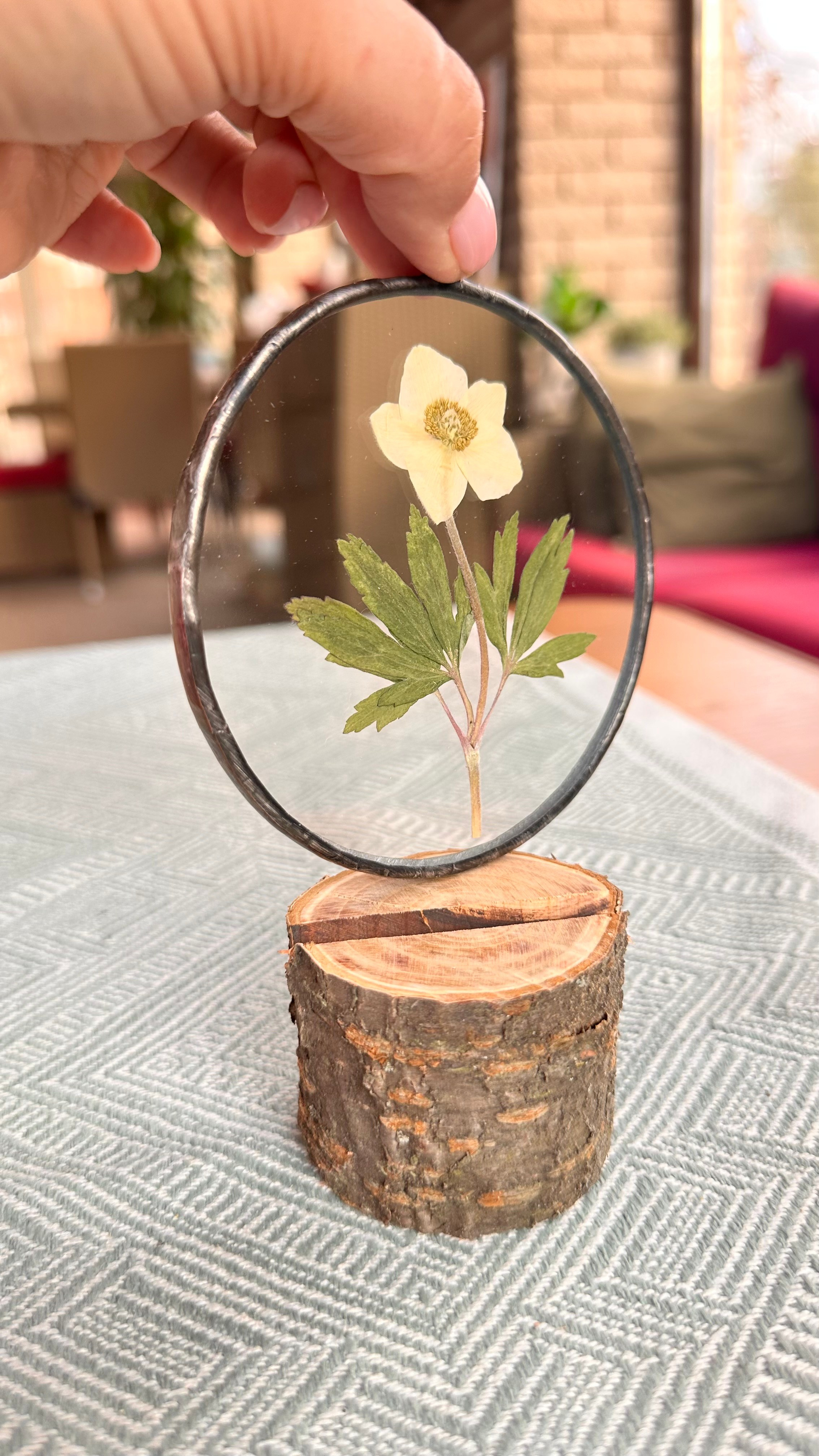 Гербарий в стекле с сухоцветами (витраж в технике тиффани). Гербарий в стекле, интерьерные панно, витражи с сухоцветами в технике тиффани