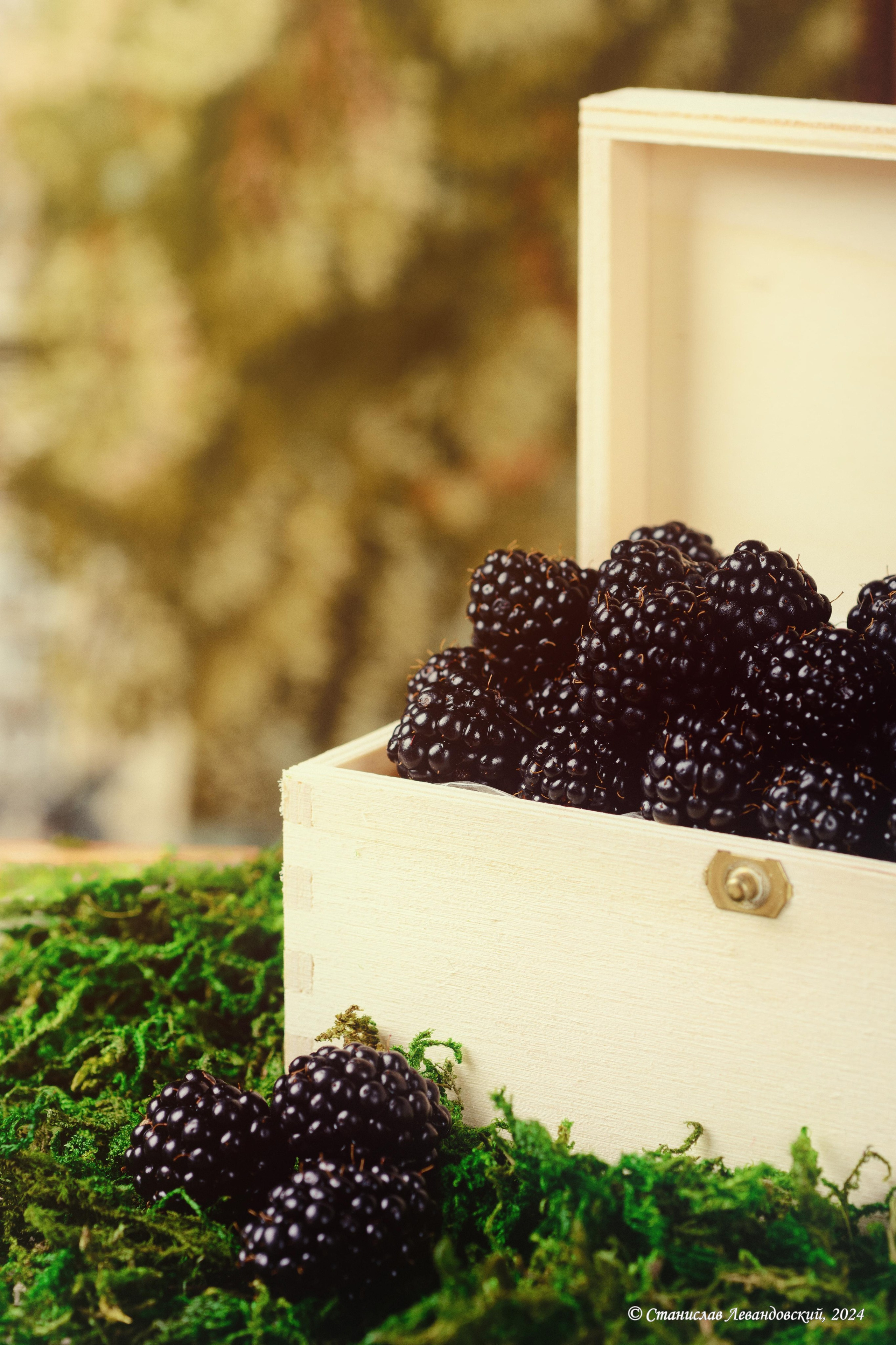 Предметы с матовой поверхностью. Предметный фотограф в Москве Станислав Левандовский