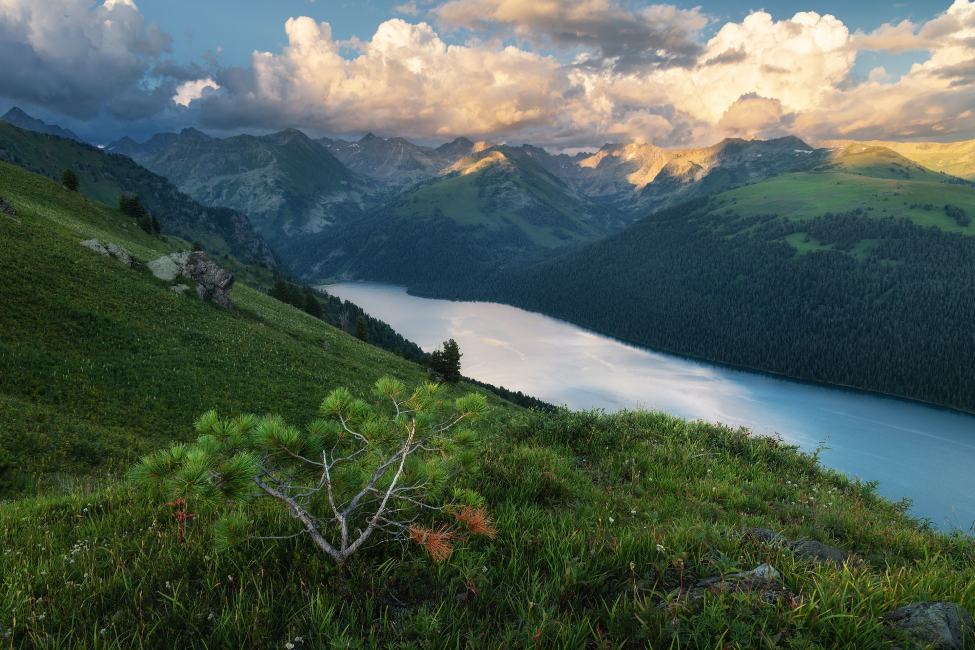 Тайменье засыпает. Ветренный вечер на озере Тайменье, Катунский биосферный заповедник, Усть-Коксинский район, июль 2025