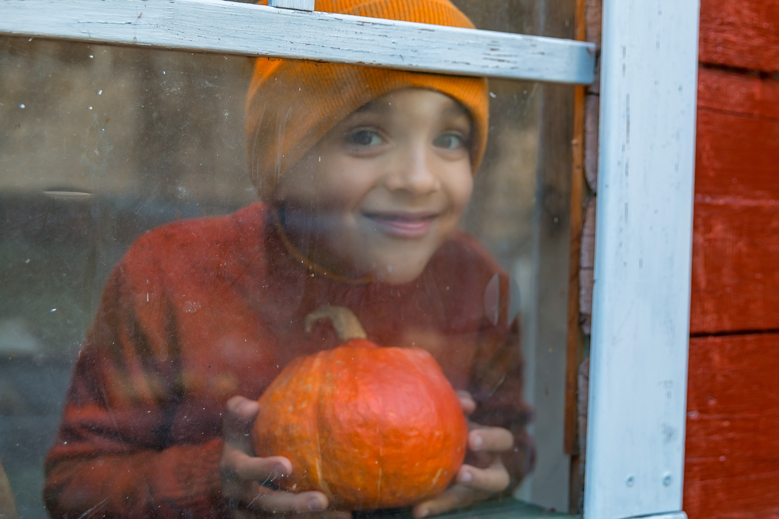 Orange. Семейный и детский фотограф в Москве Екатерина Лебедева