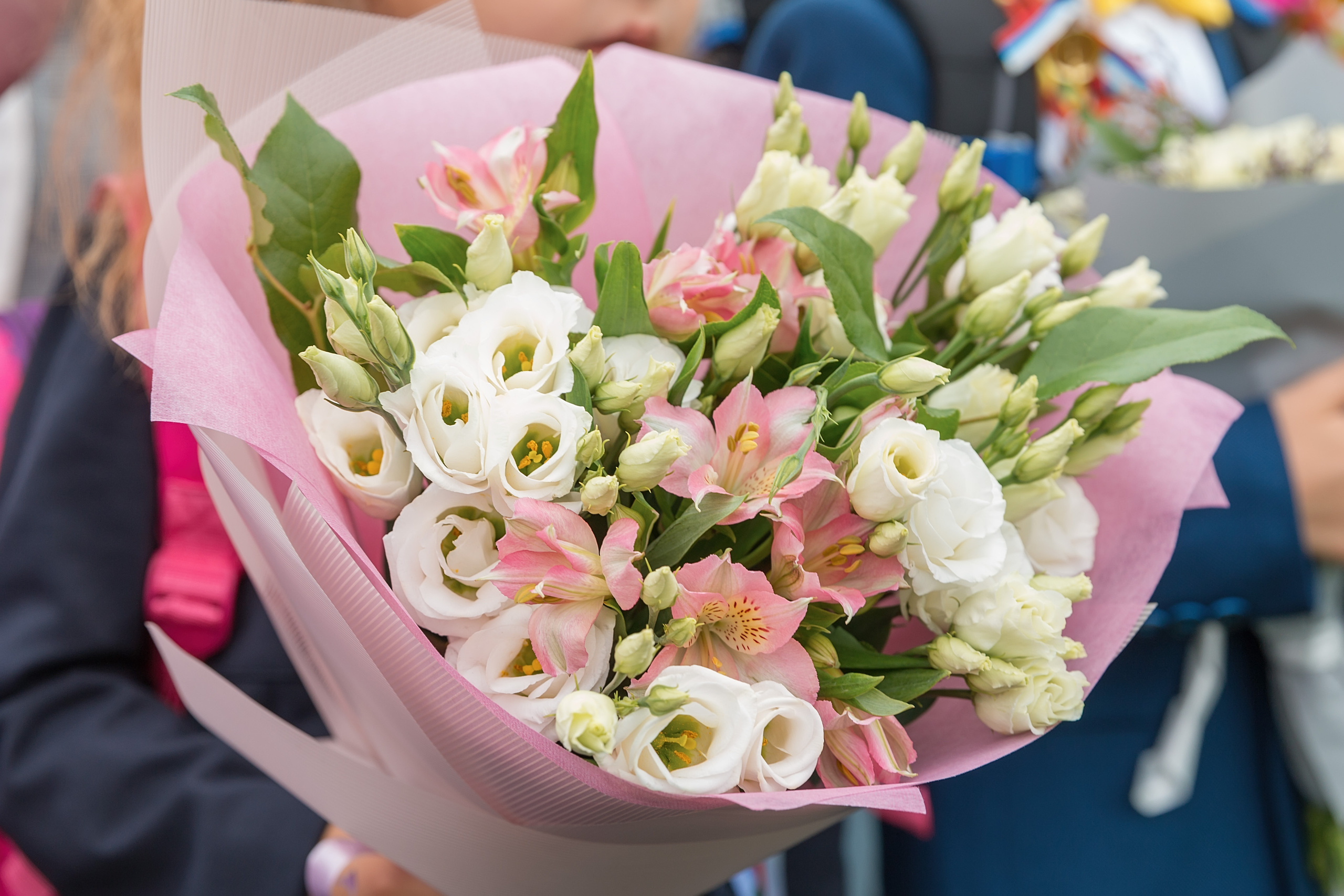 1 сентября. Семейный и детский фотограф в Москве Екатерина Лебедева