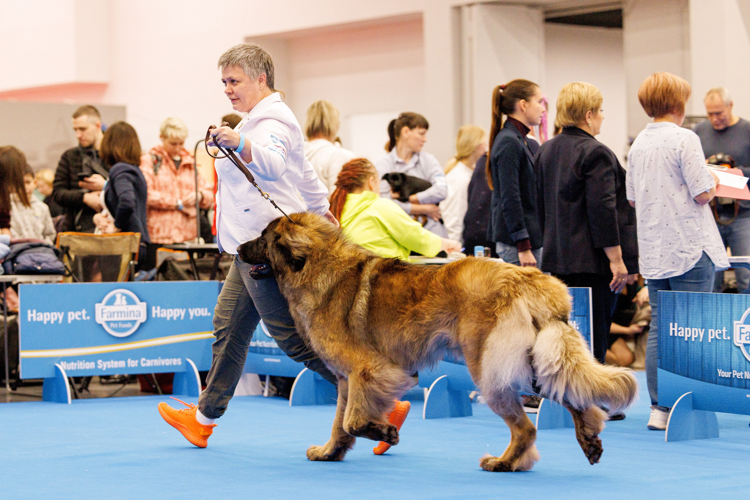 Нижний Новгород 21-22.10.2023. Фотограф-анималист Юлия Германика