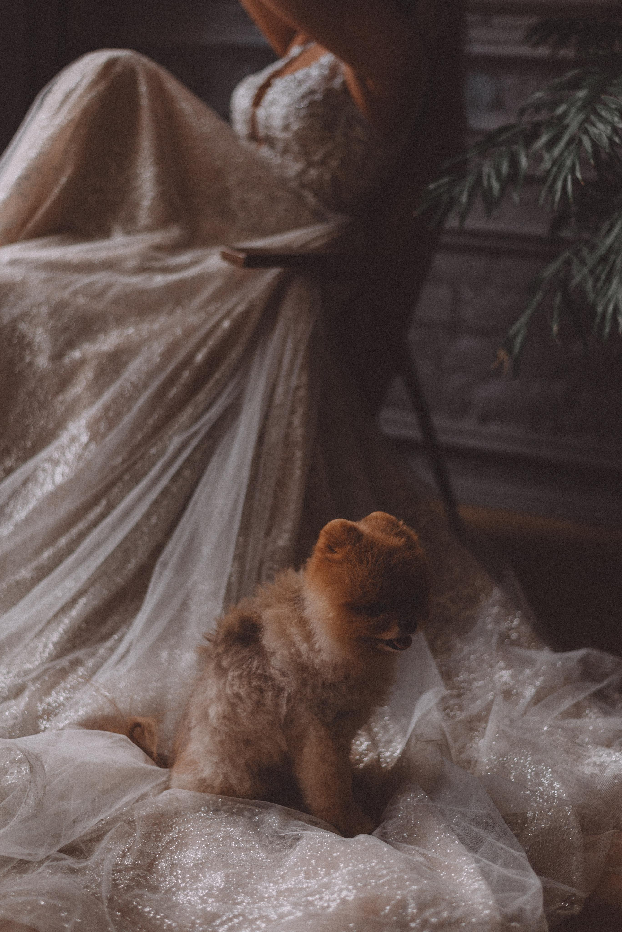 Дарья. Свадебный фотограф в Санкт-Петербурге