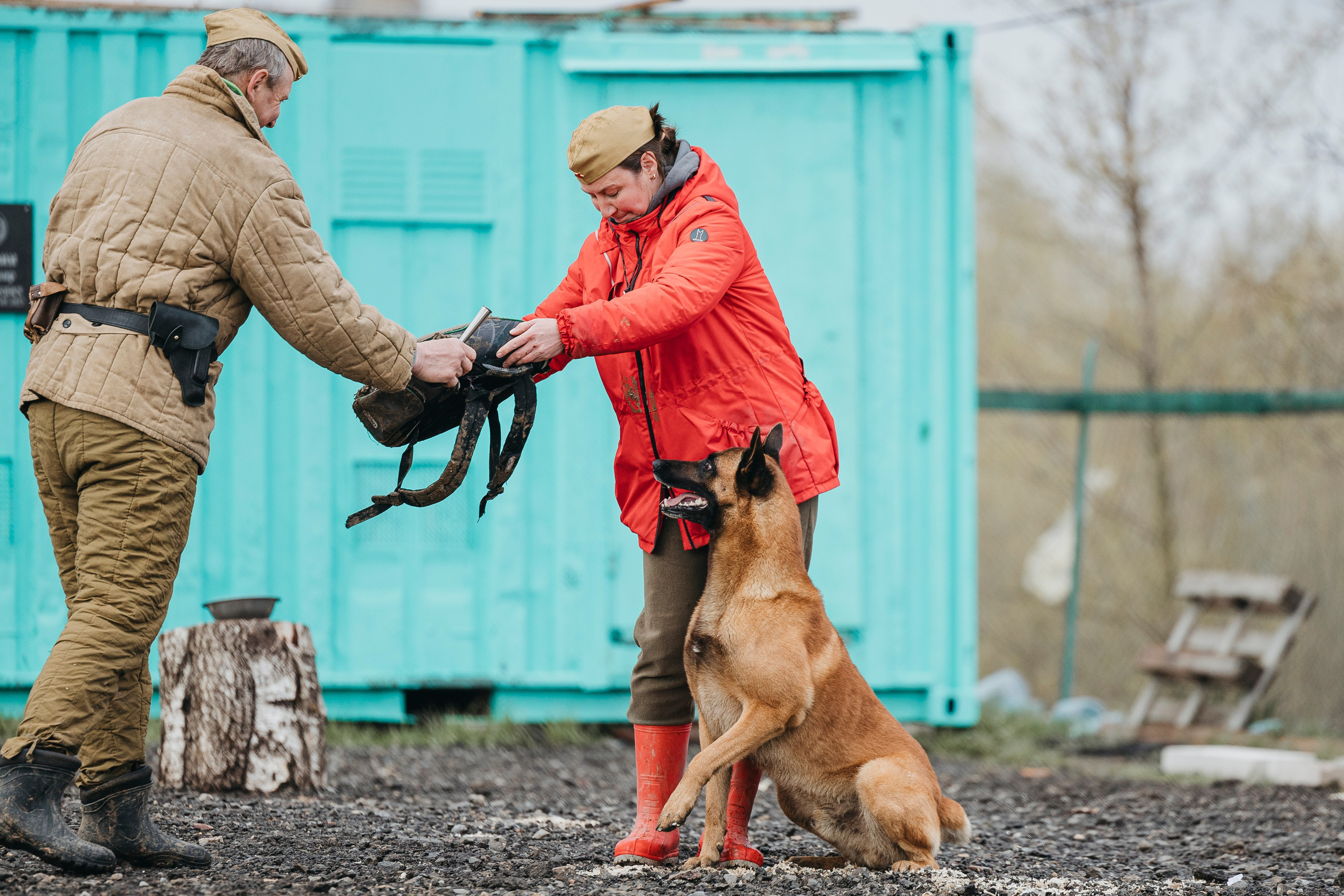 09.05.25 Вологда соревнования. Фотограф-анималист Анна Маринич