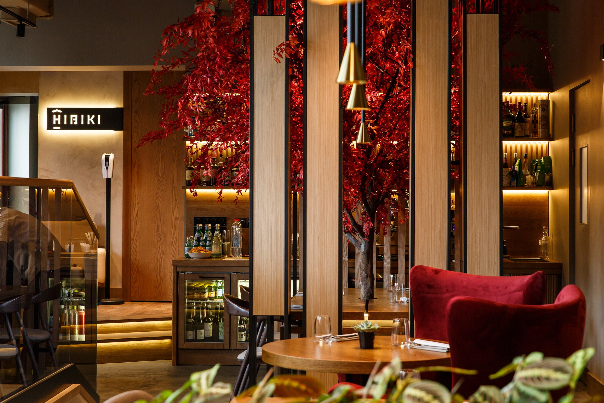 Hibiki. Фотограф Ксения Колесникова. Интерьерная и портретная съемка в Москве