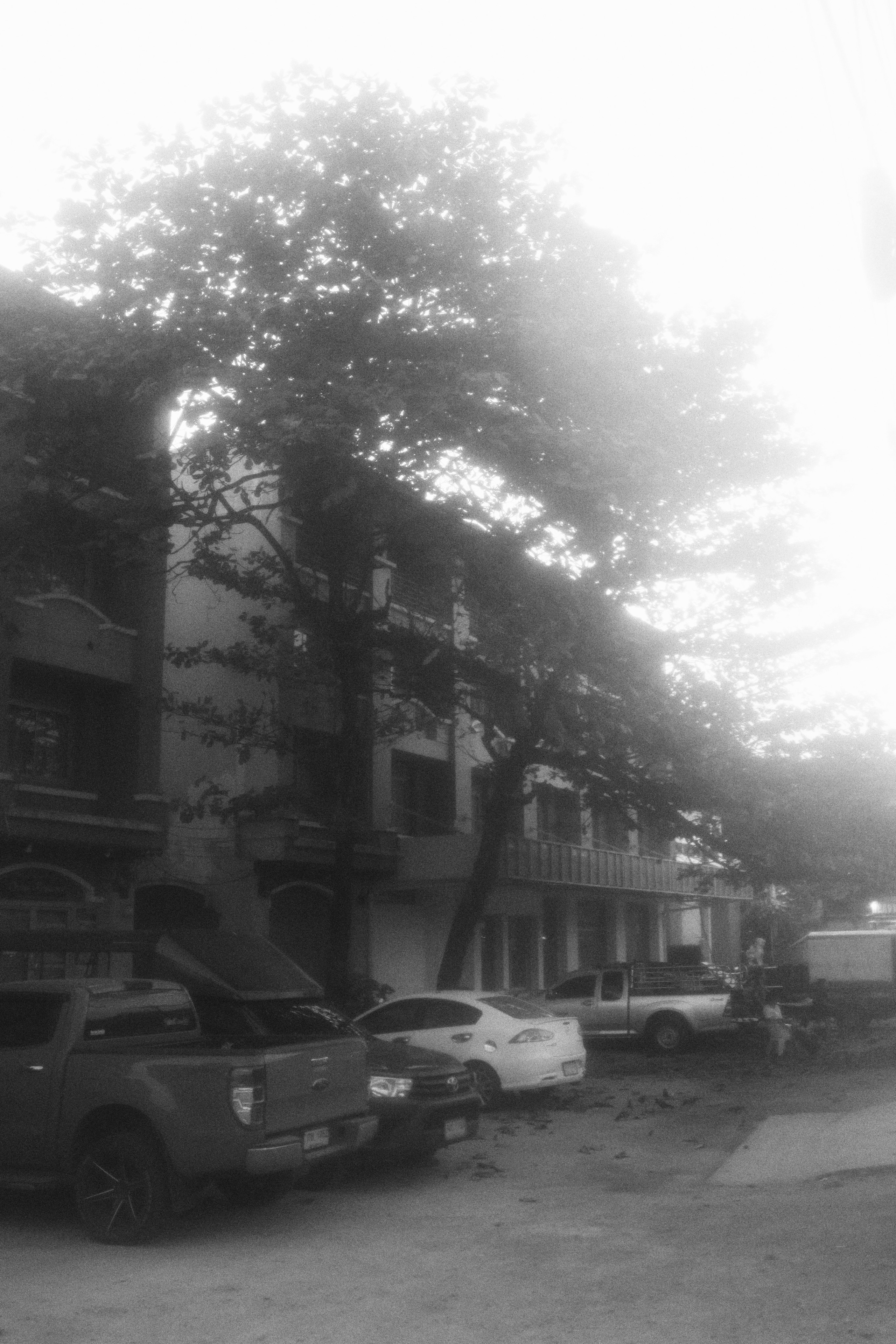 Where my favorite writer lived / Samui 2024. POLINA MÔMOT