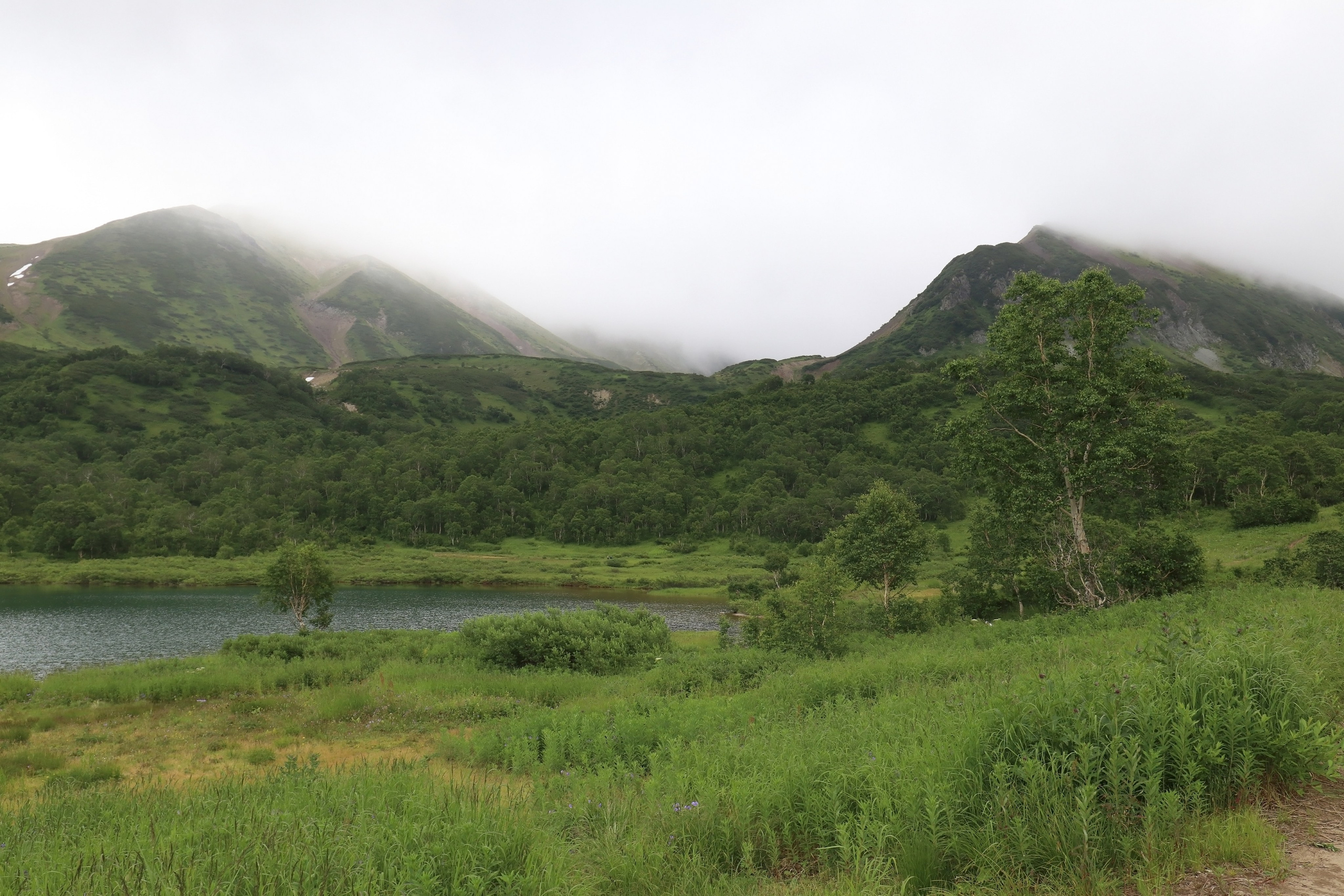 Камчатка и о. Парамушир. Июль 2024. Путешественник-фотограф из Санкт-Петербурга Татьяна Свистулина