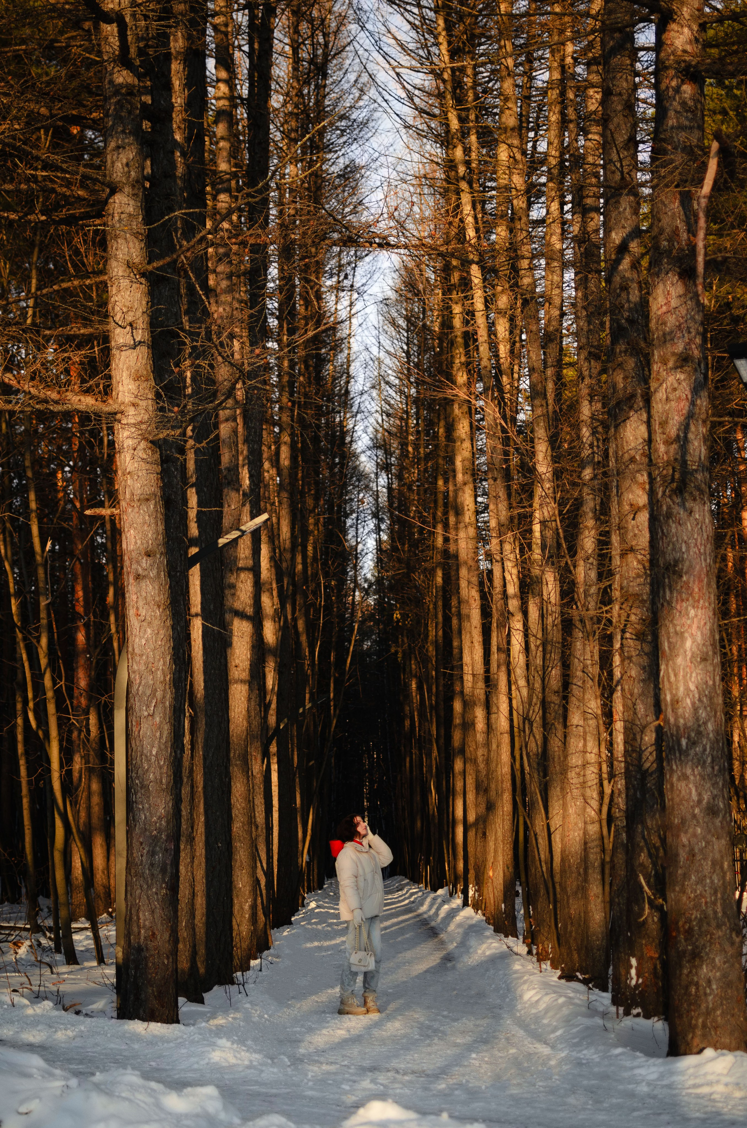 Софья. Женский и предметный фотограф в Уфе Анастасия Настоечка