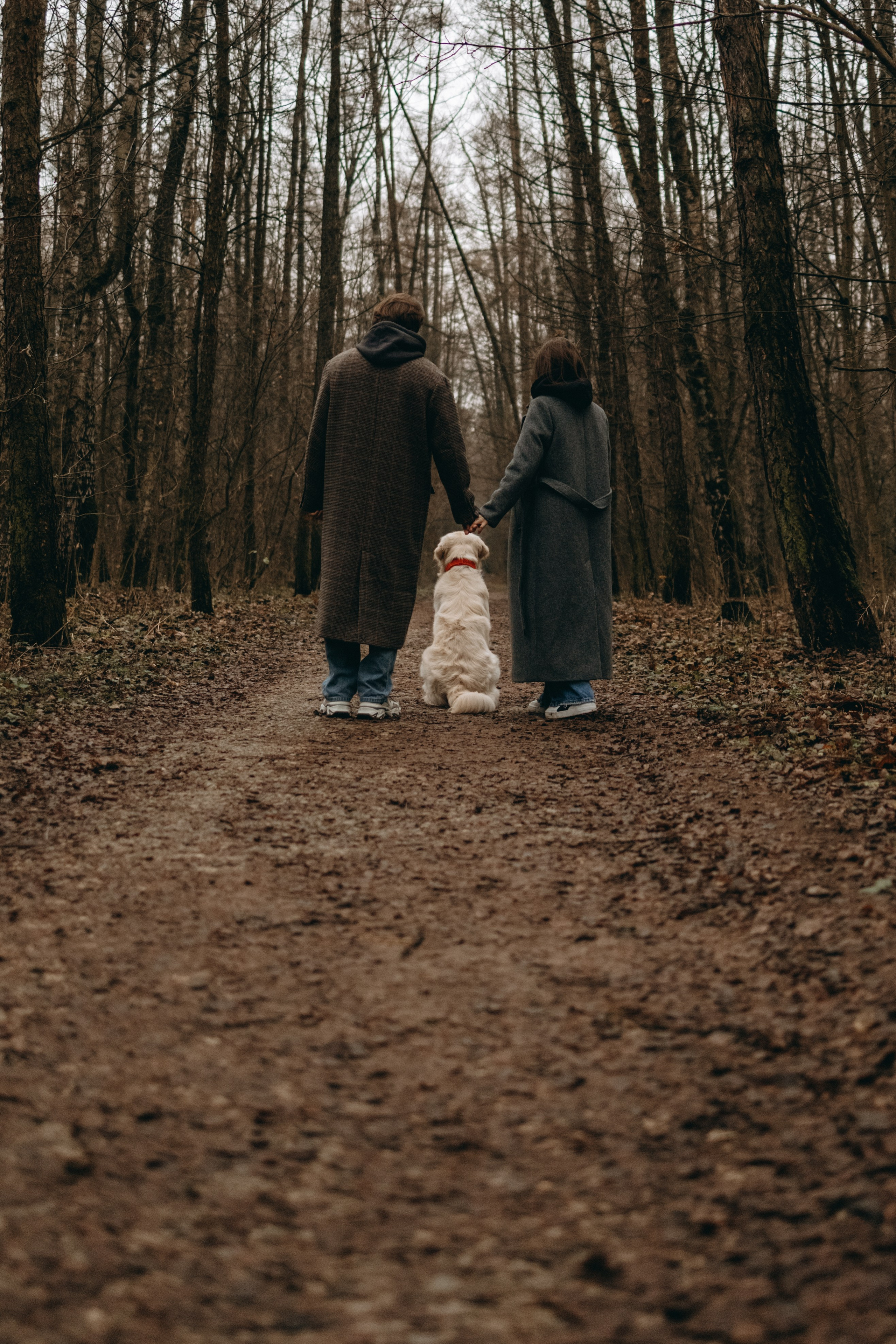 Лаки и его семья. Фотограф — Анималист | Санкт-Петербург