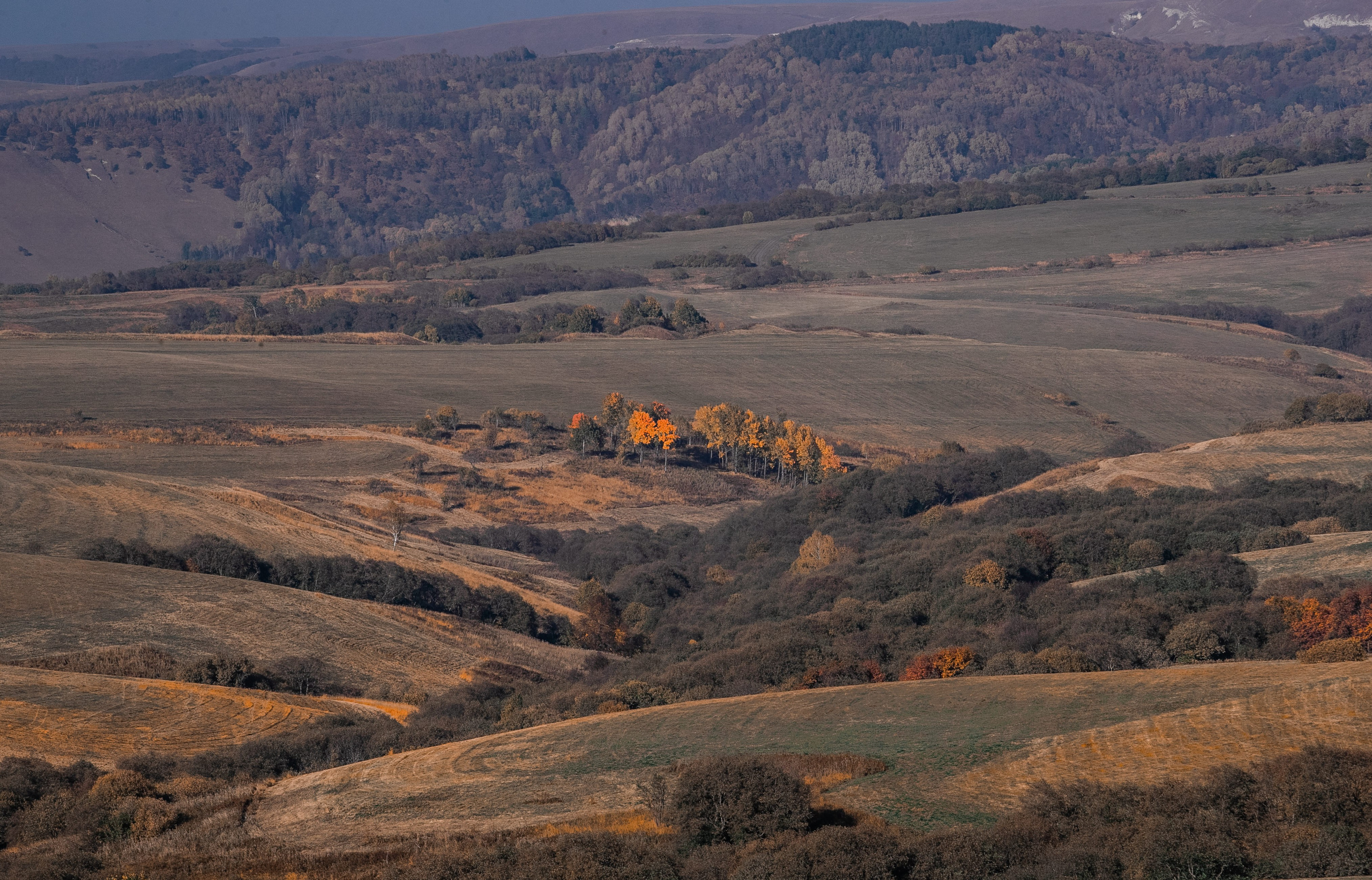 Фототуры в Карачаево-Черкессии 2019-2020. Фотограф-анималист Ксендзова Кристина