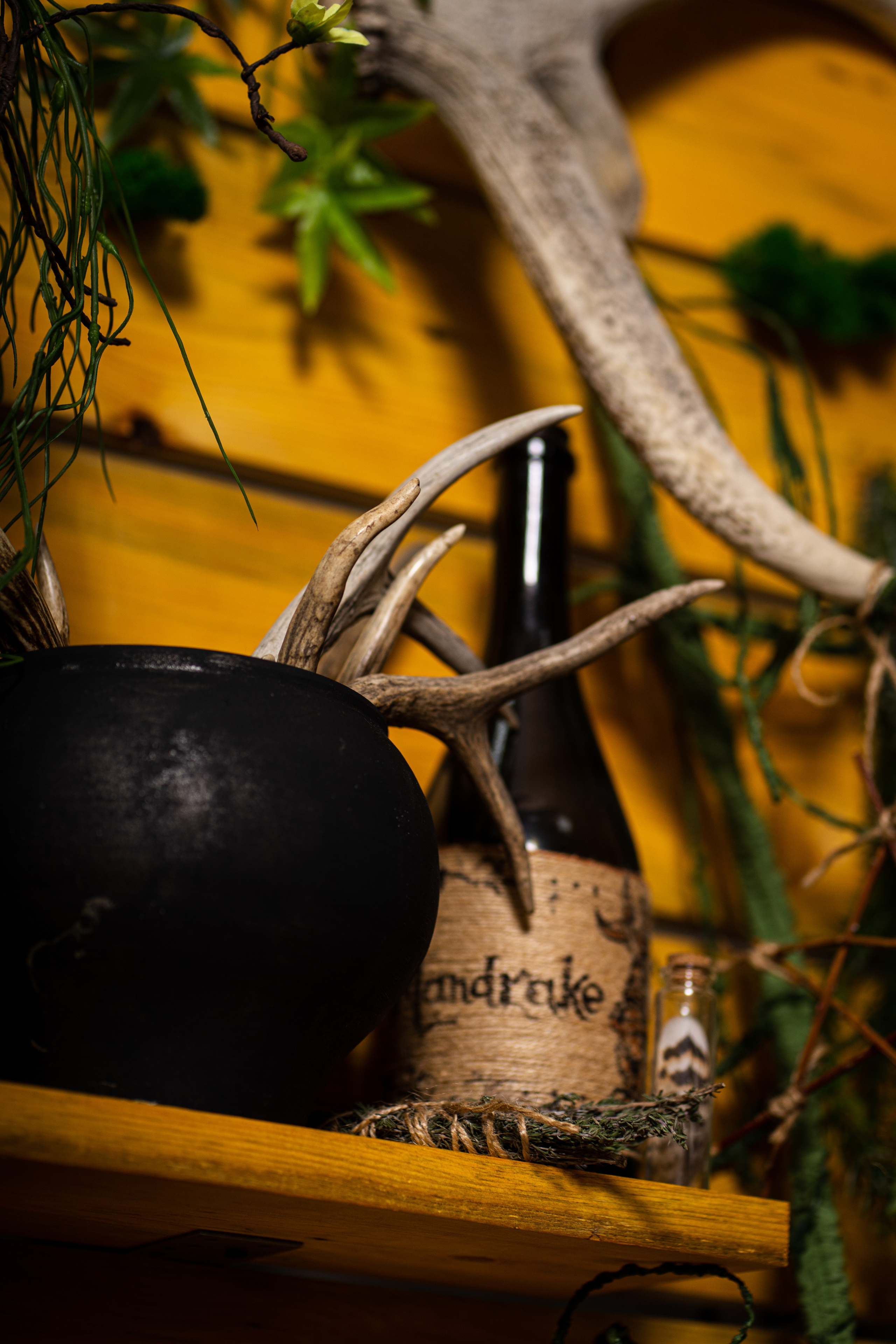 YouCon Mini 2022. Фотограф Ахмедов Эльдар Чита