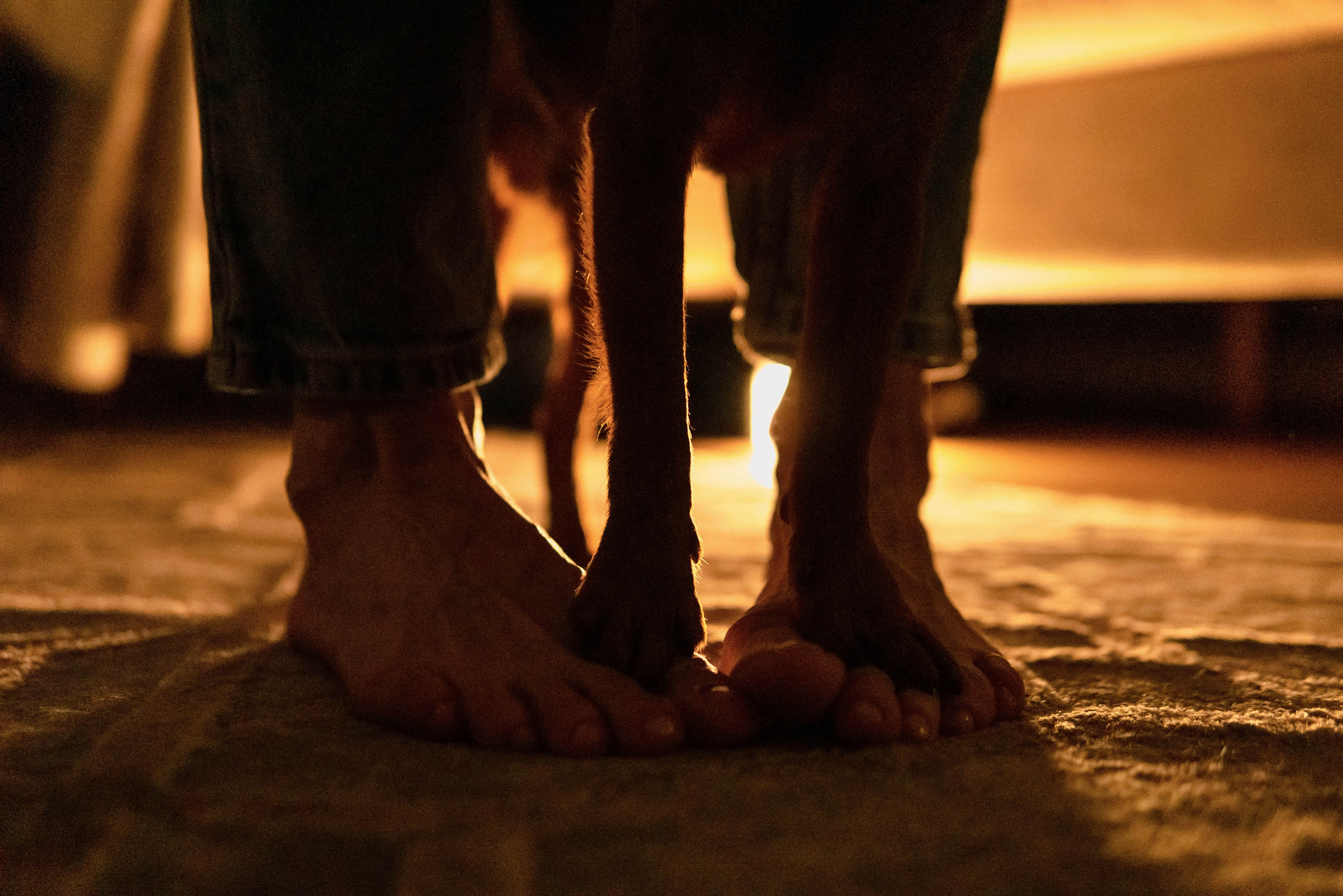 Надя и Ефим. Фотограф-анималист Ксения Воробьева, Москва