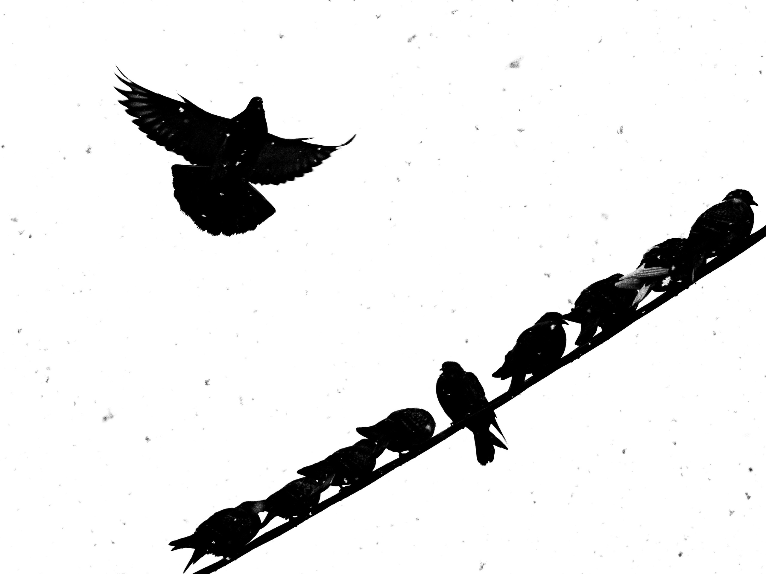 STREET. Фотограф Владимир Бакарюк