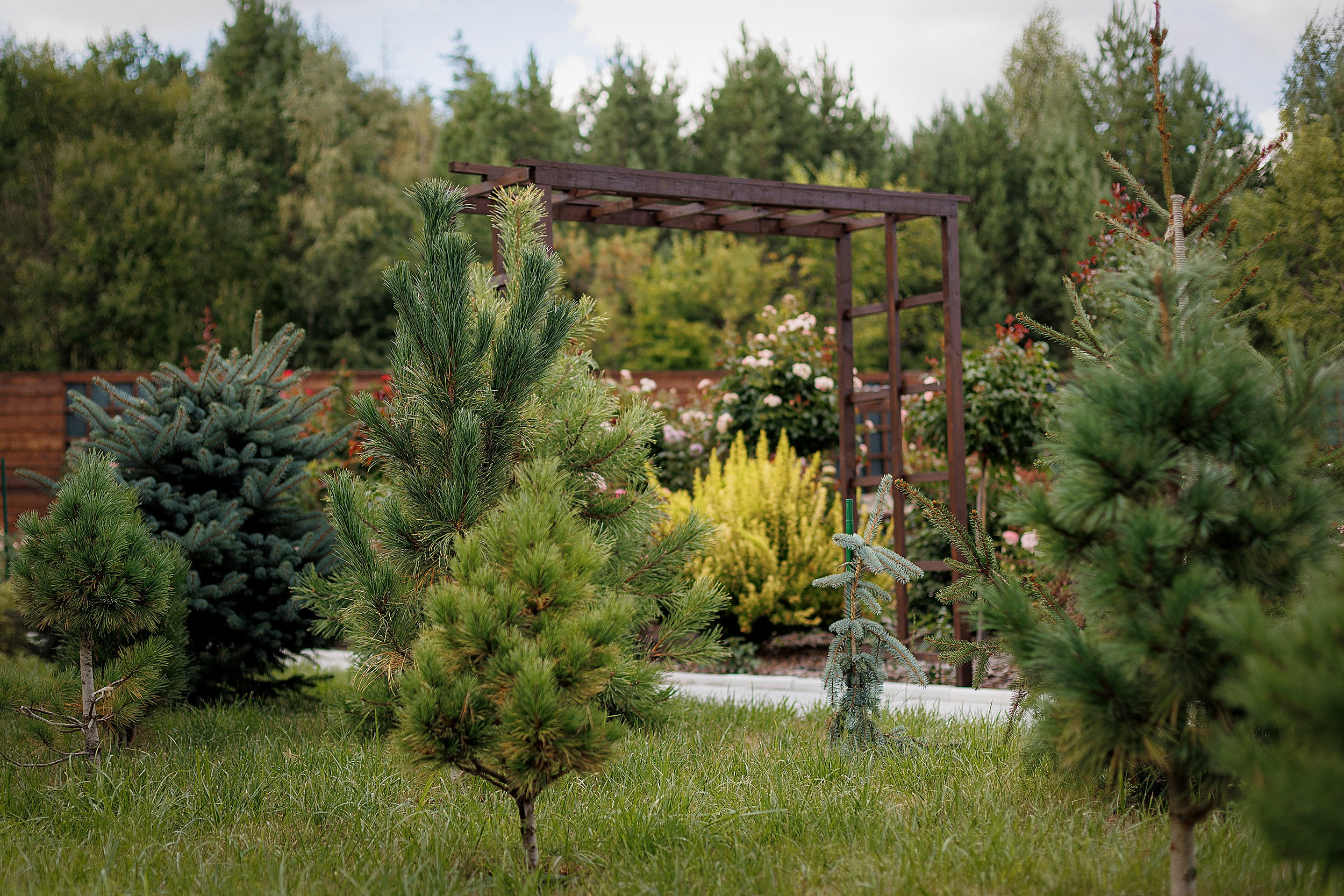 Парк-заповедник Купидон. Семейный фотограф в Димитровграде Елена Патрушева