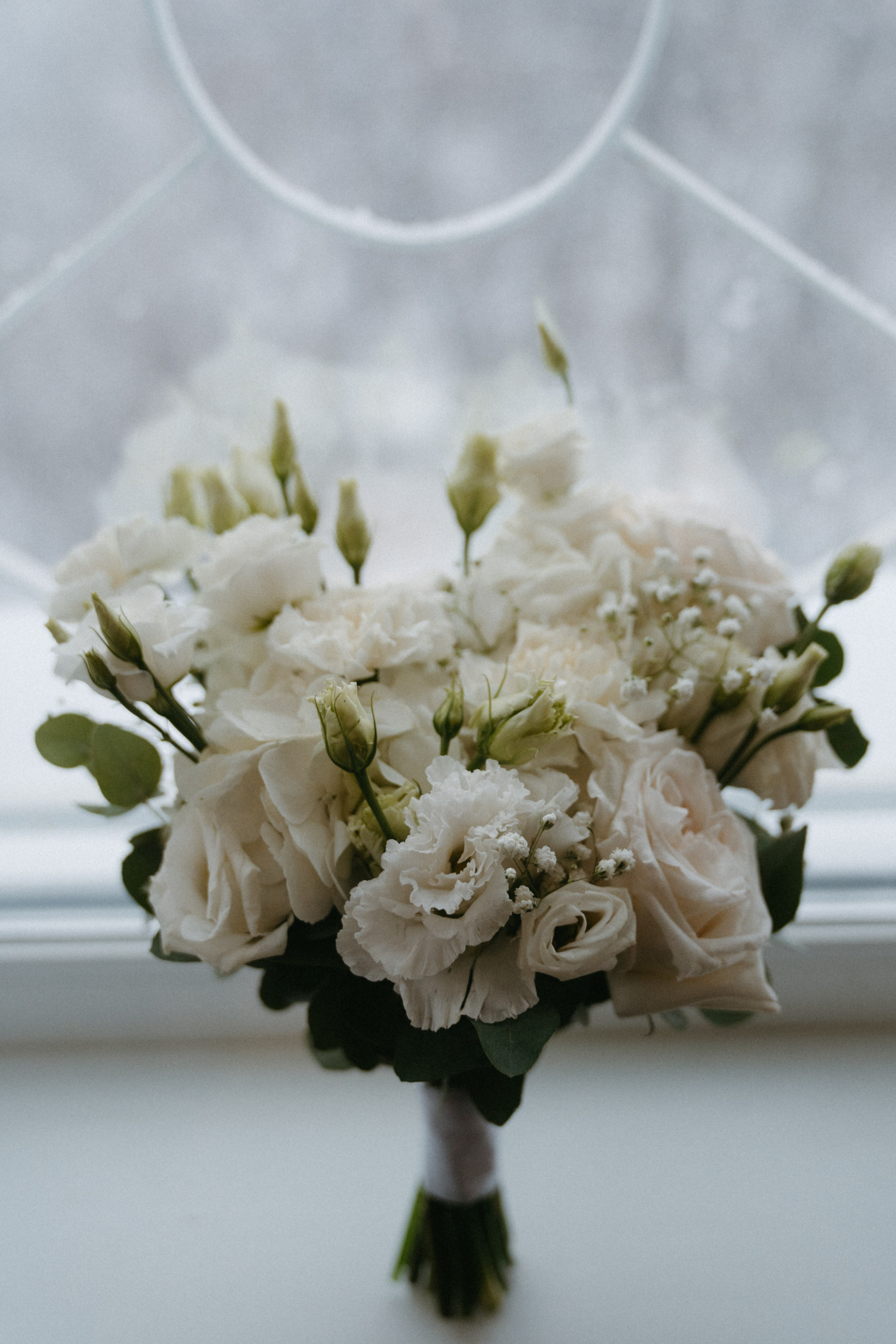 25/11/23. Фотограф Наталья Шелест