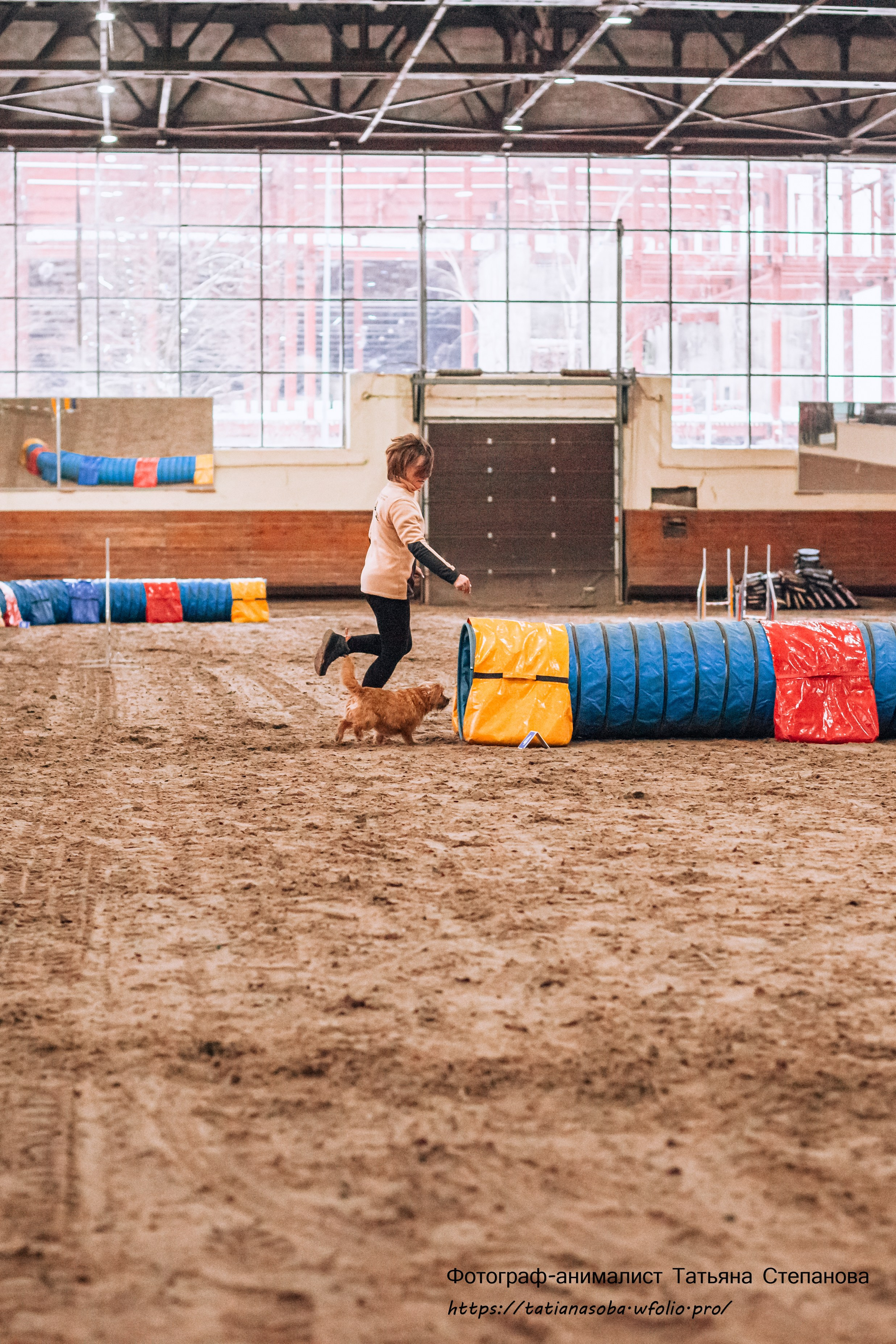 Соревнования по Аджилити 25.02.2024. Фотограф-анималист Татьяна Степанова