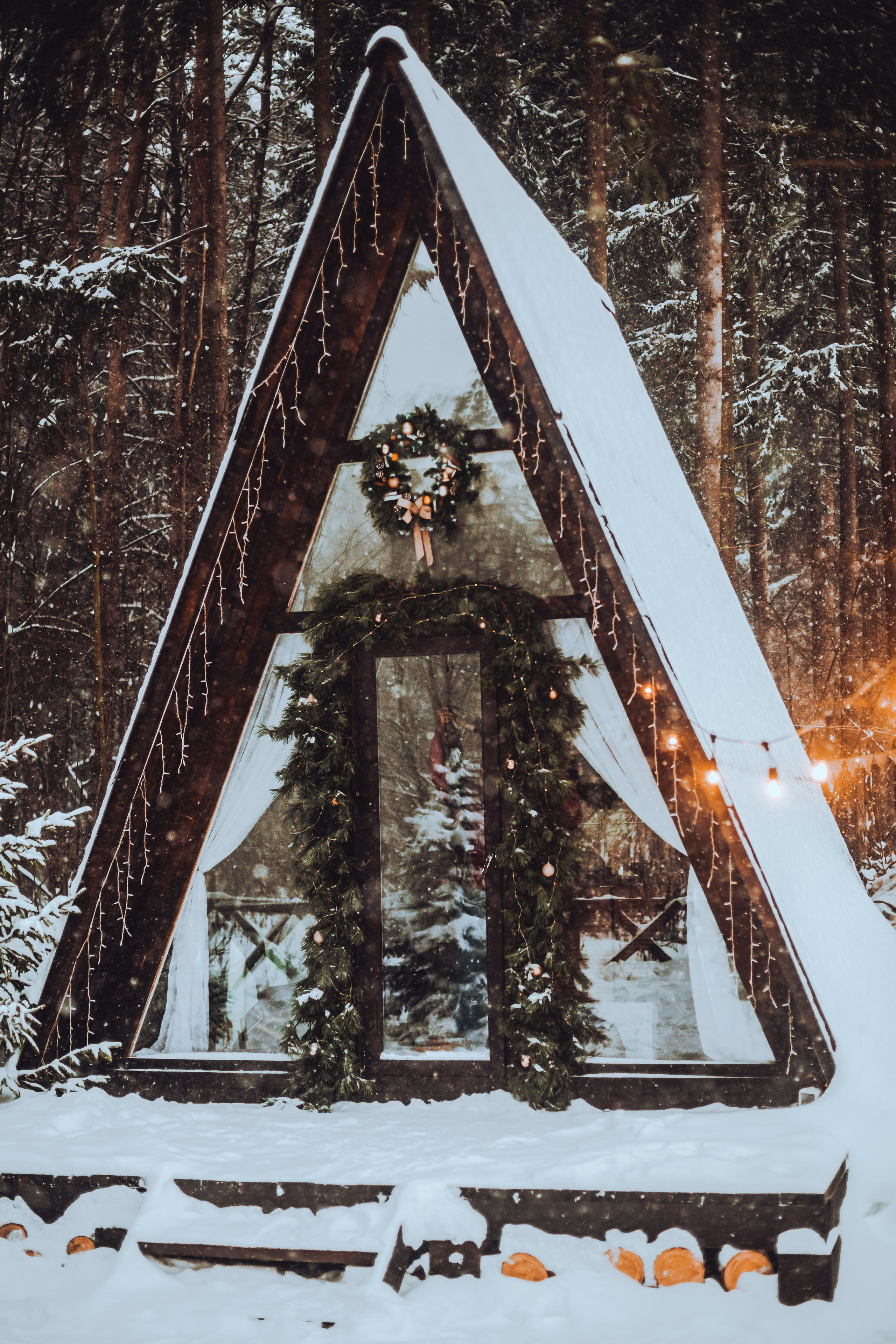Кантри Хаус. Фотограф-анималист Татьяна Степанова