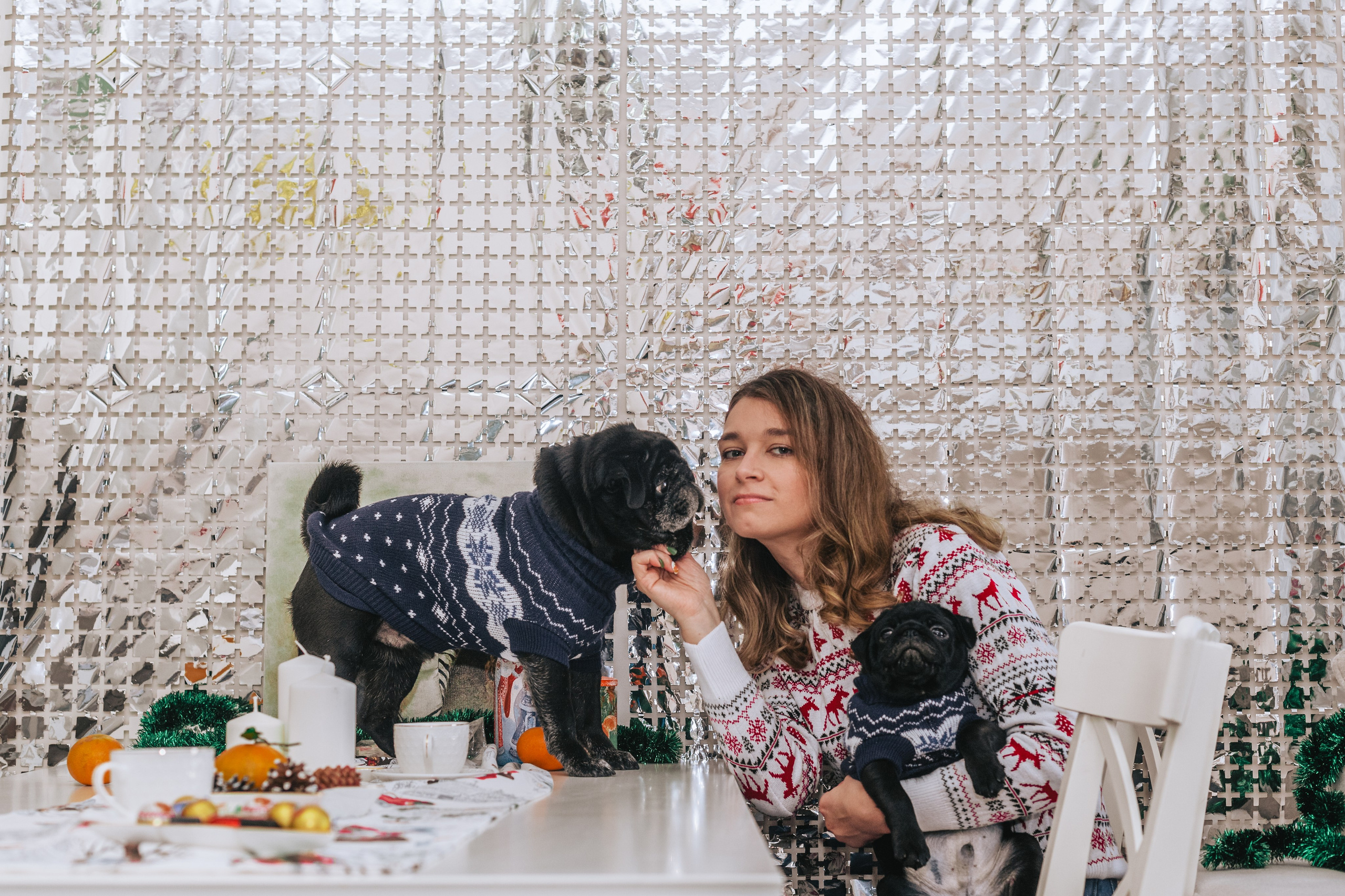 Домашняя фотосессия Оли и двух ее мопсов. Фотограф-анималист Татьяна Степанова