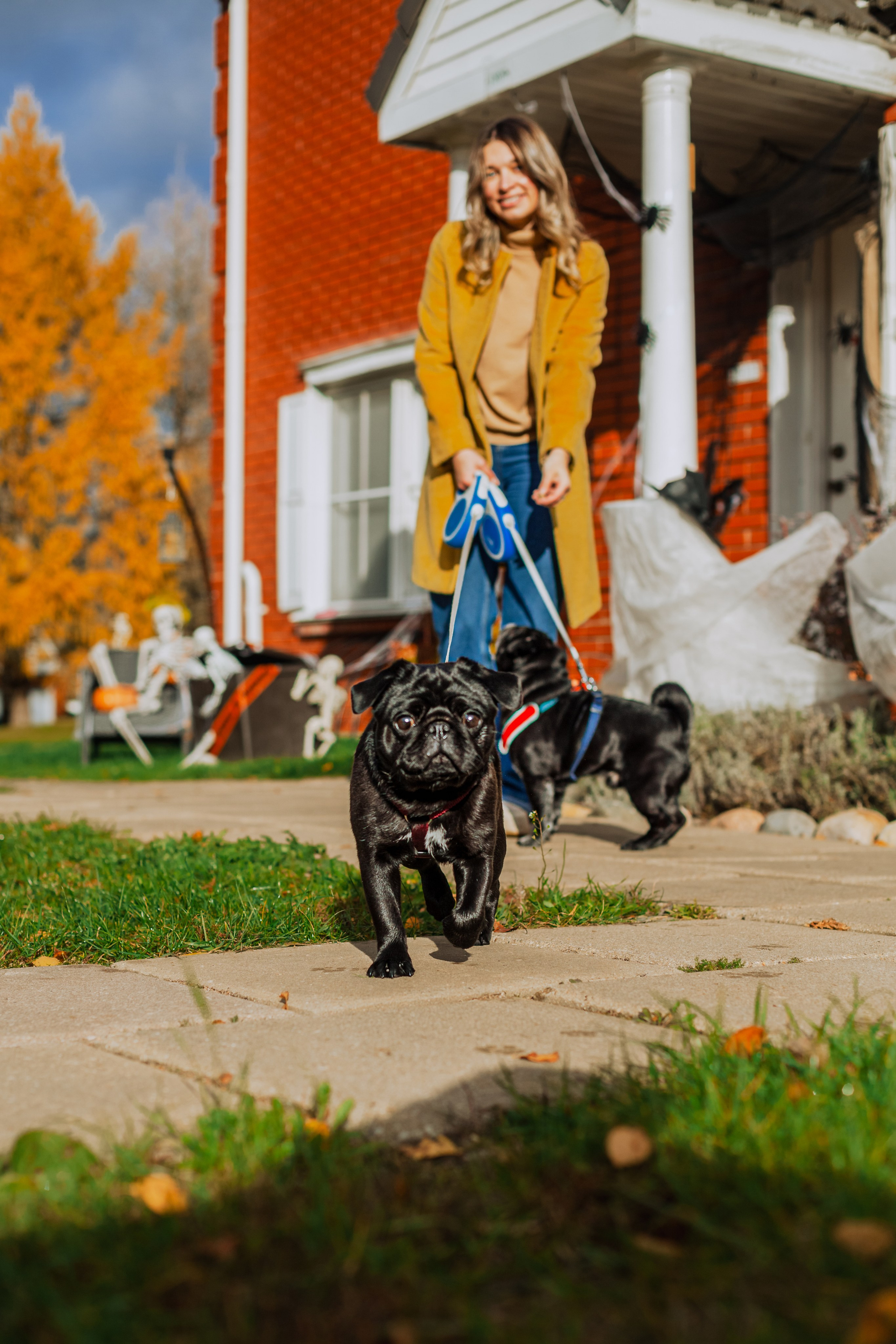 Оля, Харви, Луис. Фотограф-анималист Татьяна Степанова