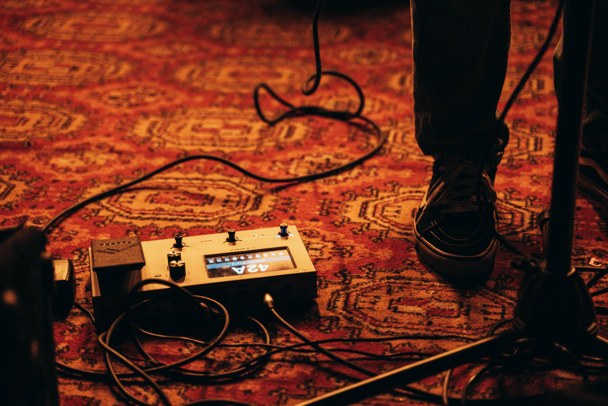 Океанариум. ФОТОГРАФ ВЛАДИВОСТОК НИКИТА КОРОЛЁВ