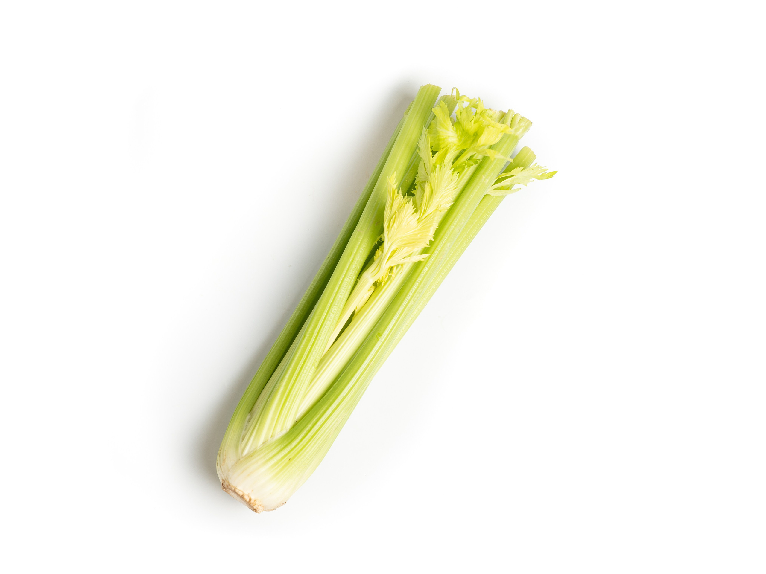 Яндекс Маркет. Предметный и фуд-фотограф в Москве Анна Царенко