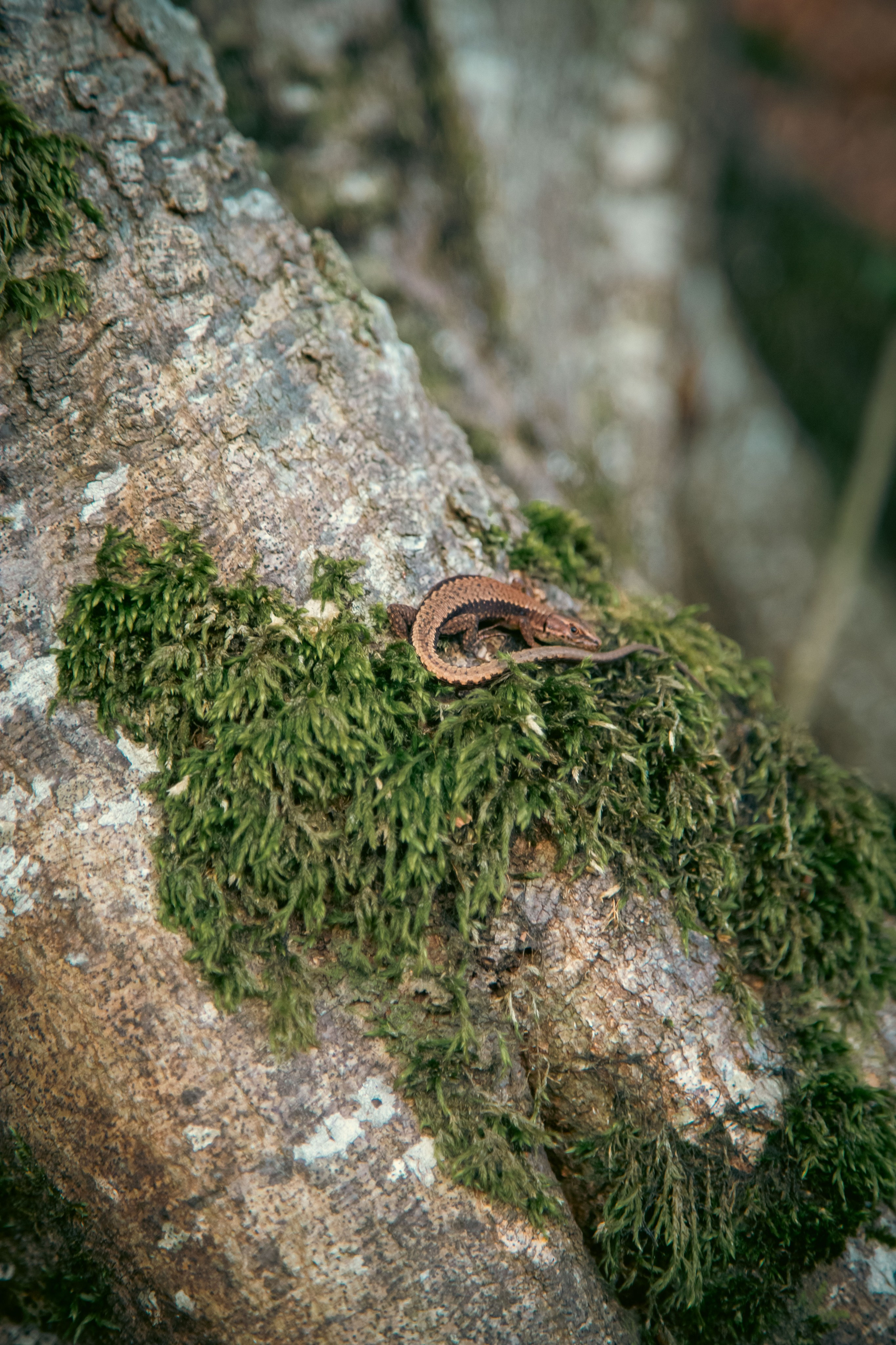 Batumi. Dmitriy [KCCC] is a pretty cool photographer