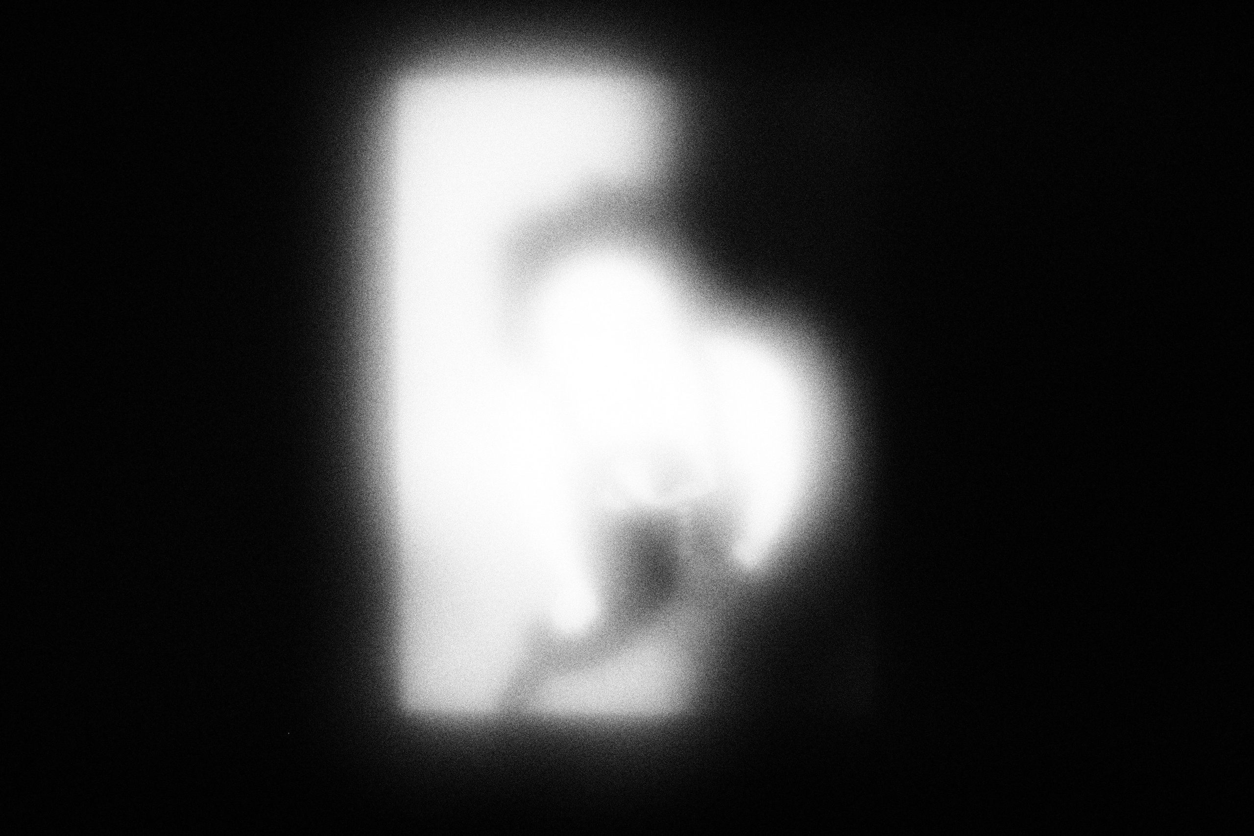 Маленькие искусства и я, Полина Шадрина