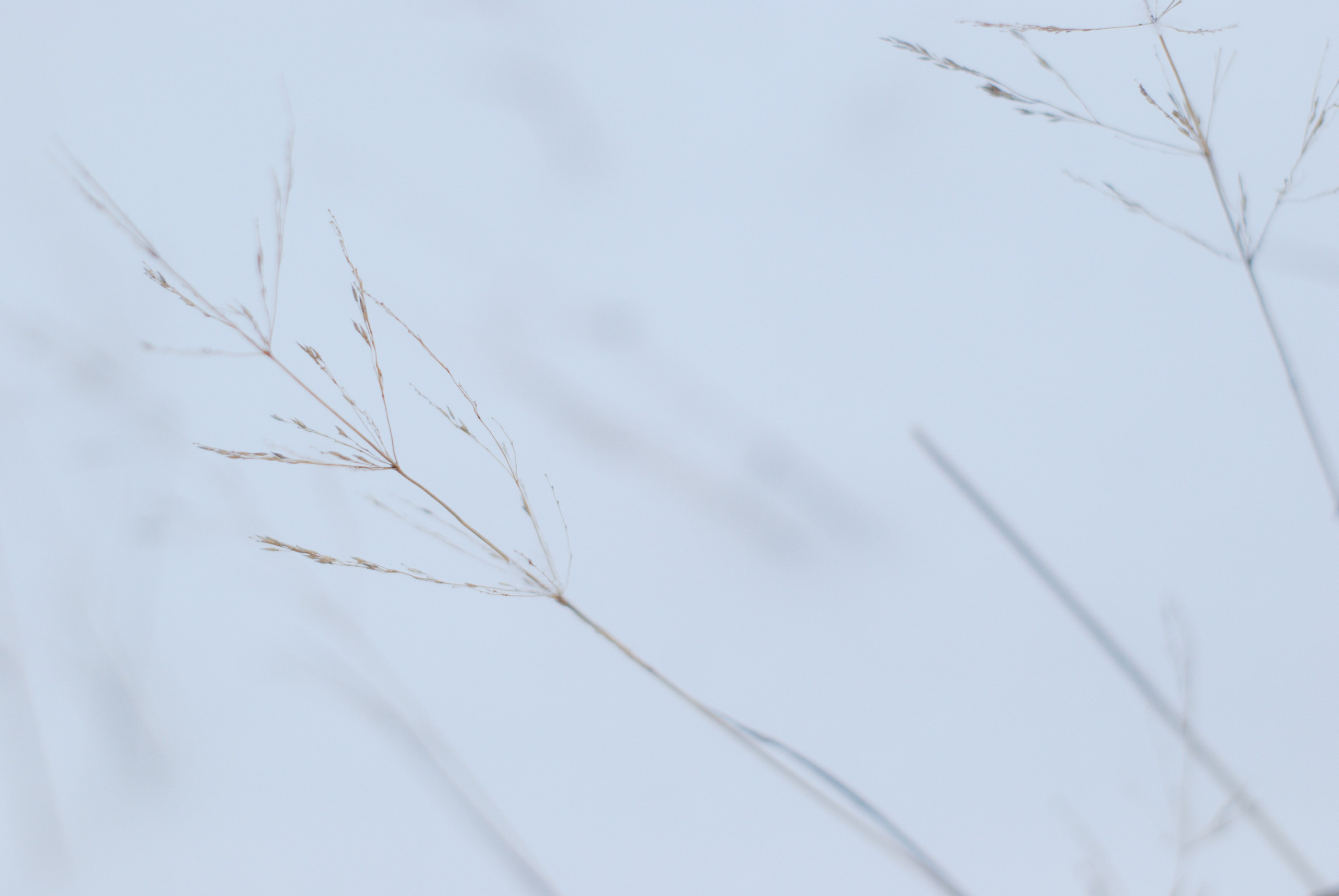 Этот прекрасный мир