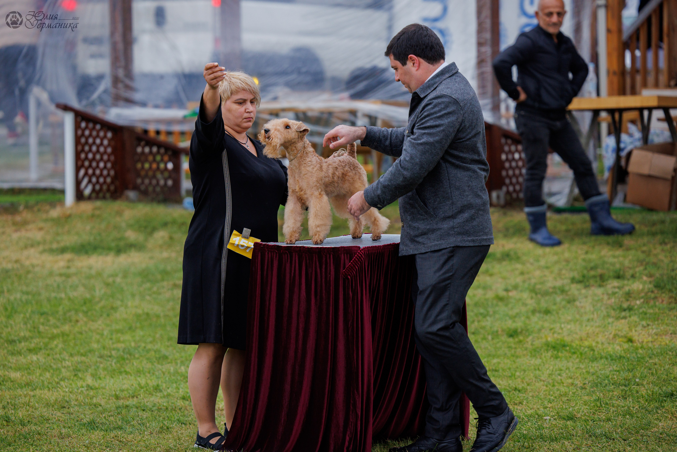 Армения,Ереван 3хCACIB 15-17.10.2024. Фотограф-анималист Юлия Германика