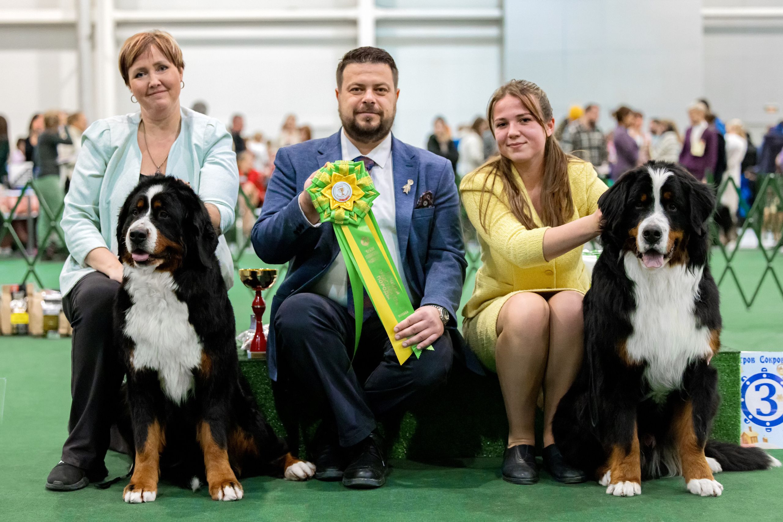 Крокус 3,9 и 10.12.2023. Фотограф-анималист Юлия Германика