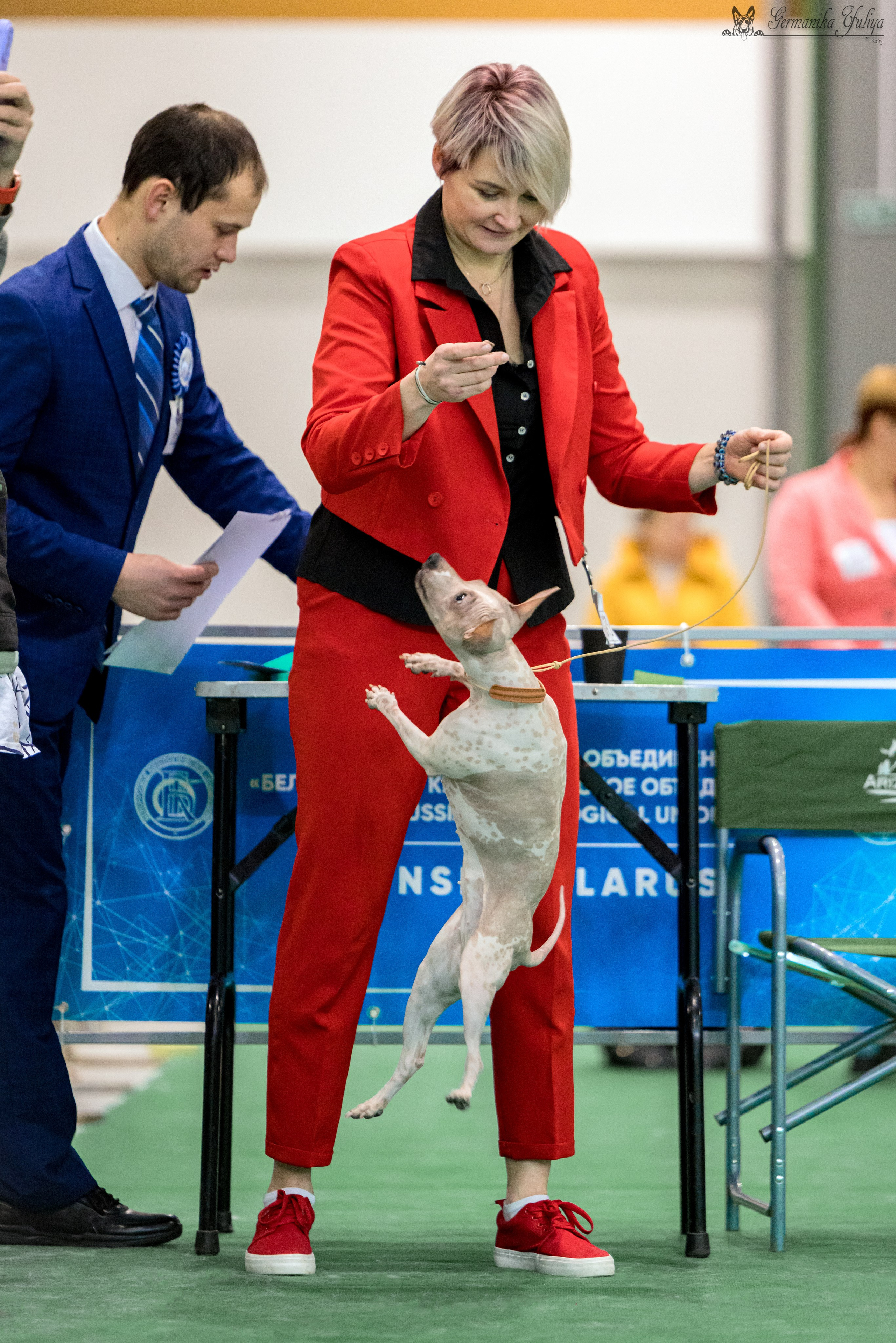 Минск 25-26.11.2023. Фотограф-анималист Юлия Германика