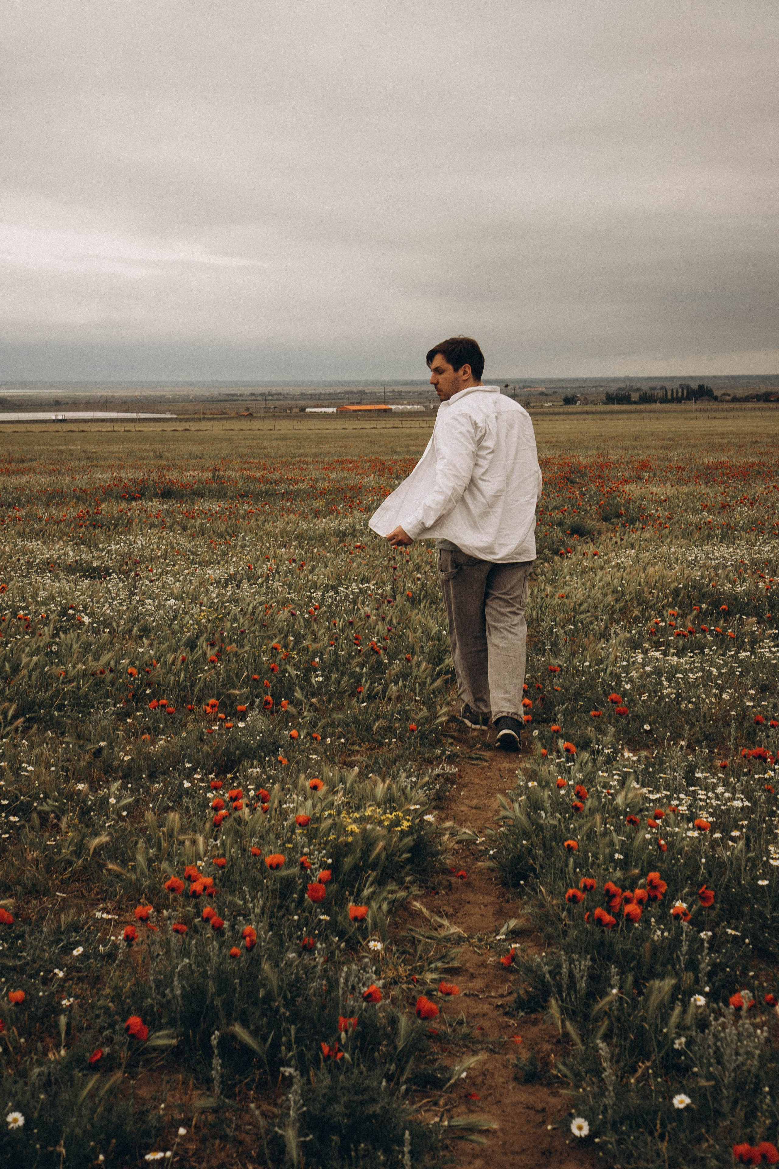 Маки. Профессиональный фотограф, Санкт-Петербург — Виктория Богомолова