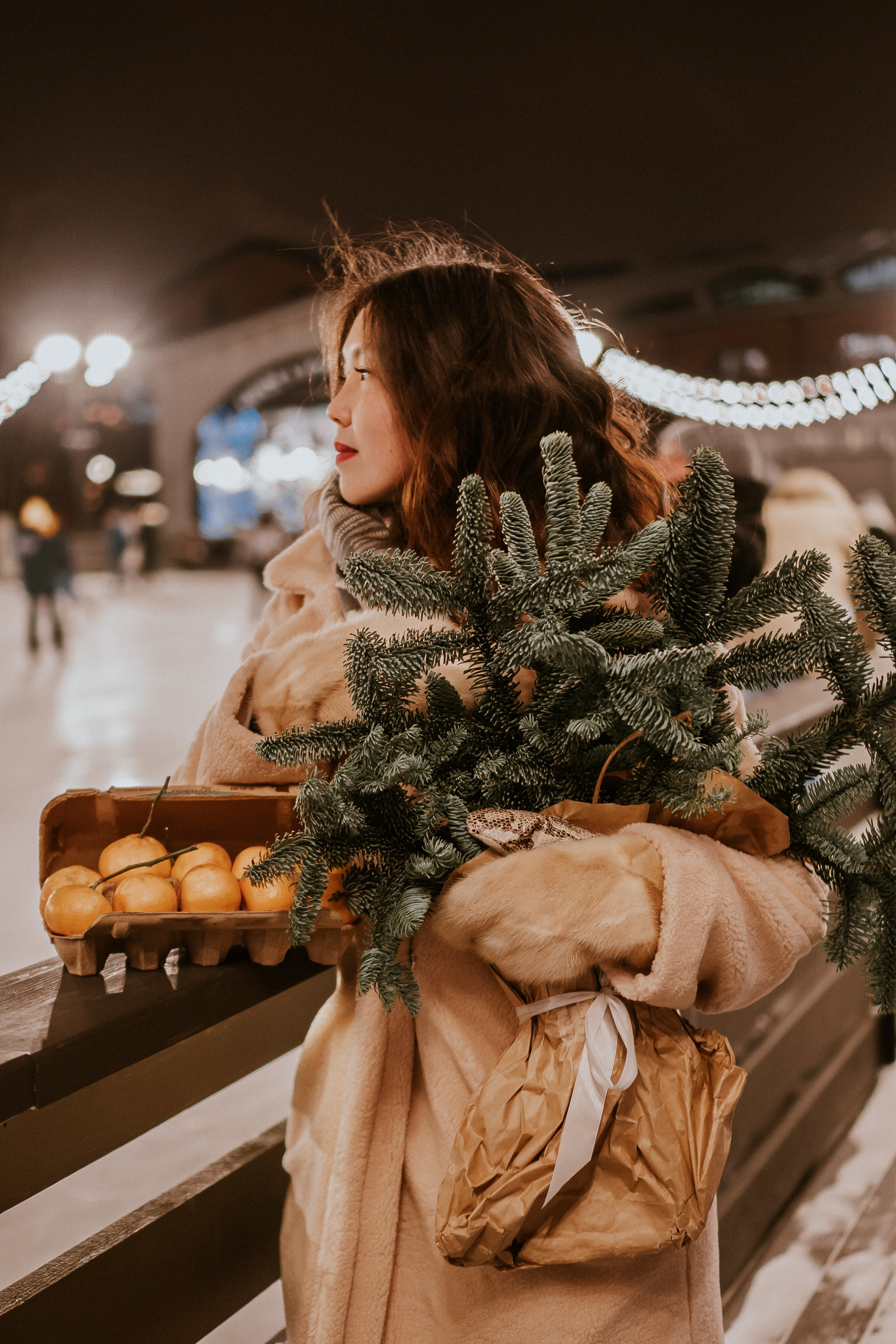 Зимняя сказка в Новой Голандии. Профессиональный фотограф, Санкт-Петербург — Виктория Богомолова