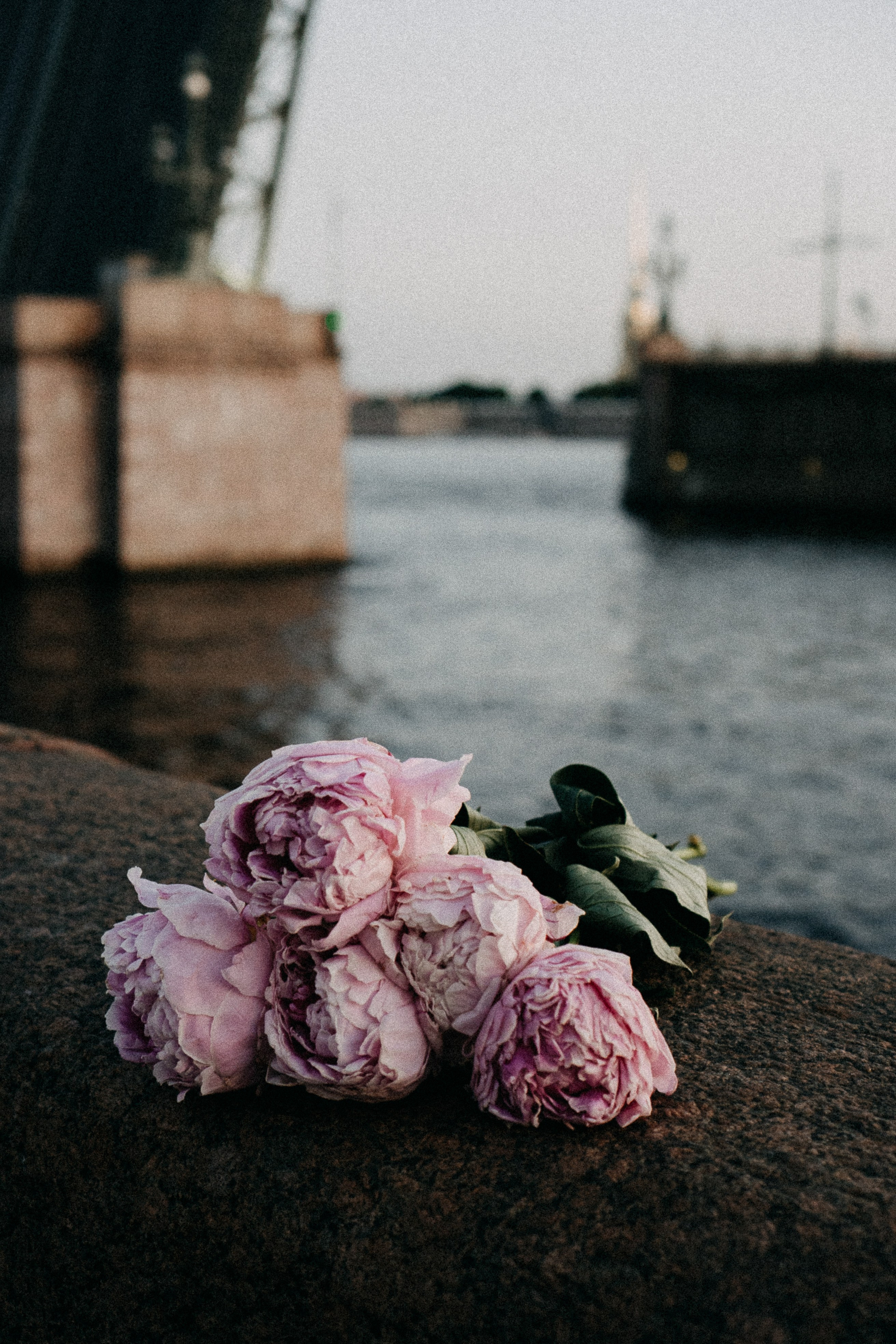 Сьемка мечты. Профессиональный фотограф, Санкт-Петербург — Виктория Богомолова