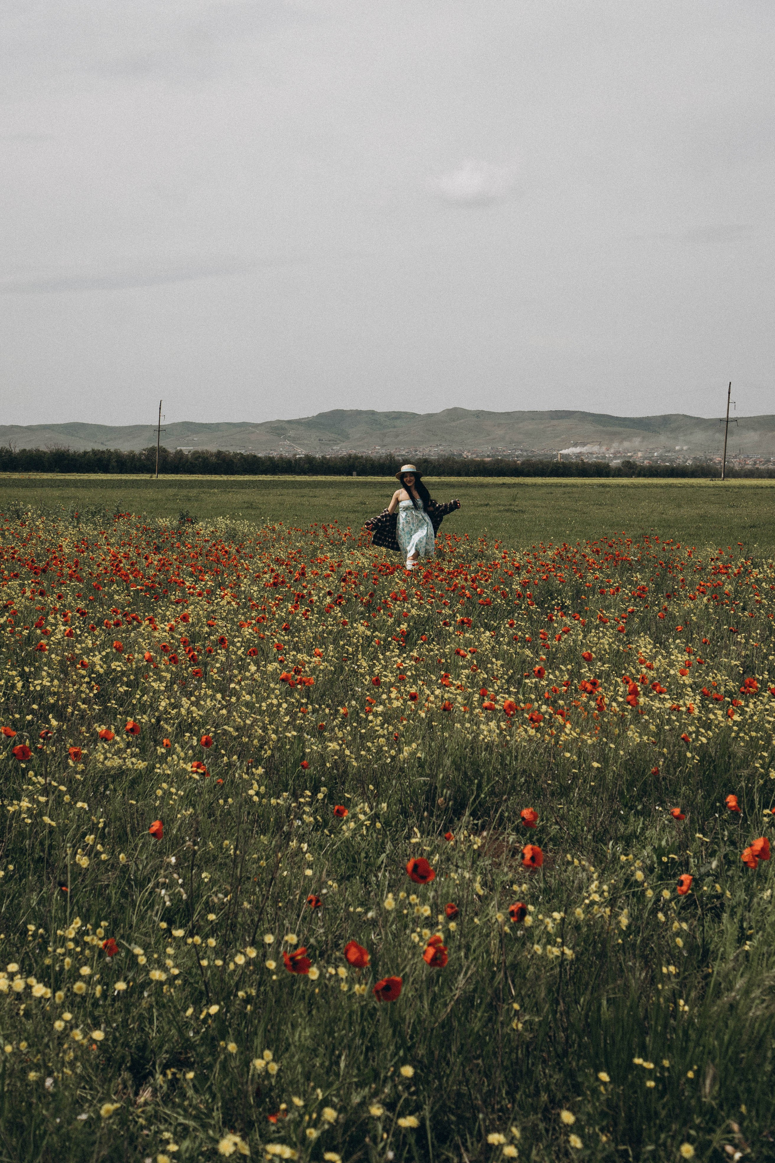 Цветочная поляна. Профессиональный фотограф, Санкт-Петербург — Виктория Богомолова