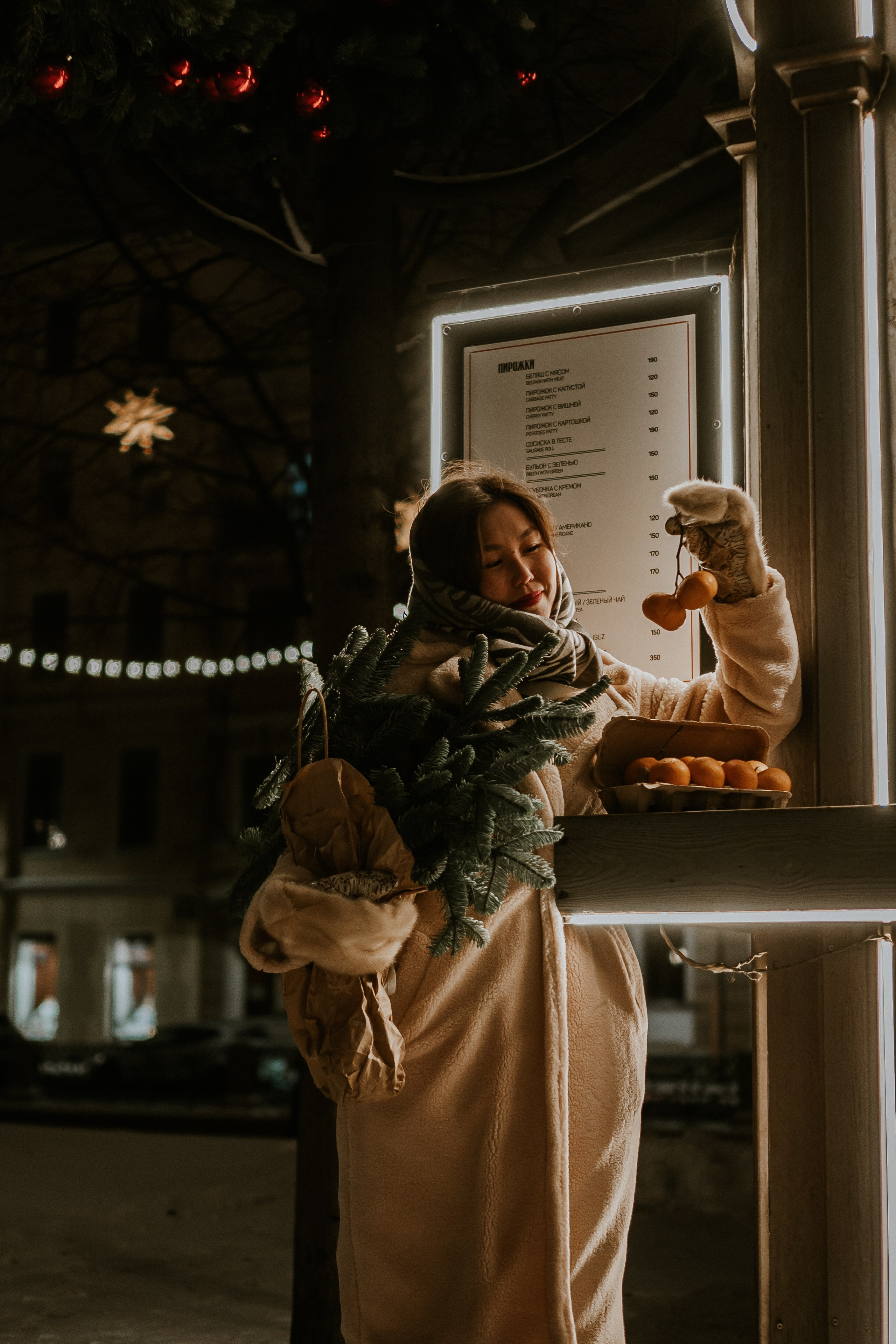 Зимняя сказка в Новой Голандии. Профессиональный фотограф, Санкт-Петербург — Виктория Богомолова