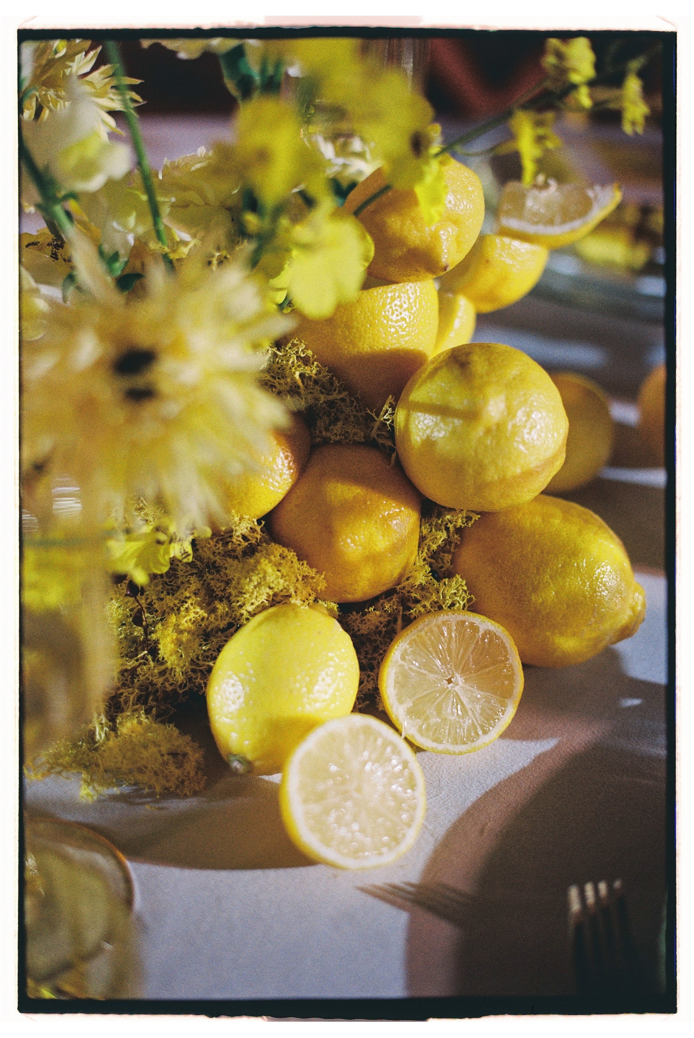 Свадебный фотограф в Москве Александр Мезозой