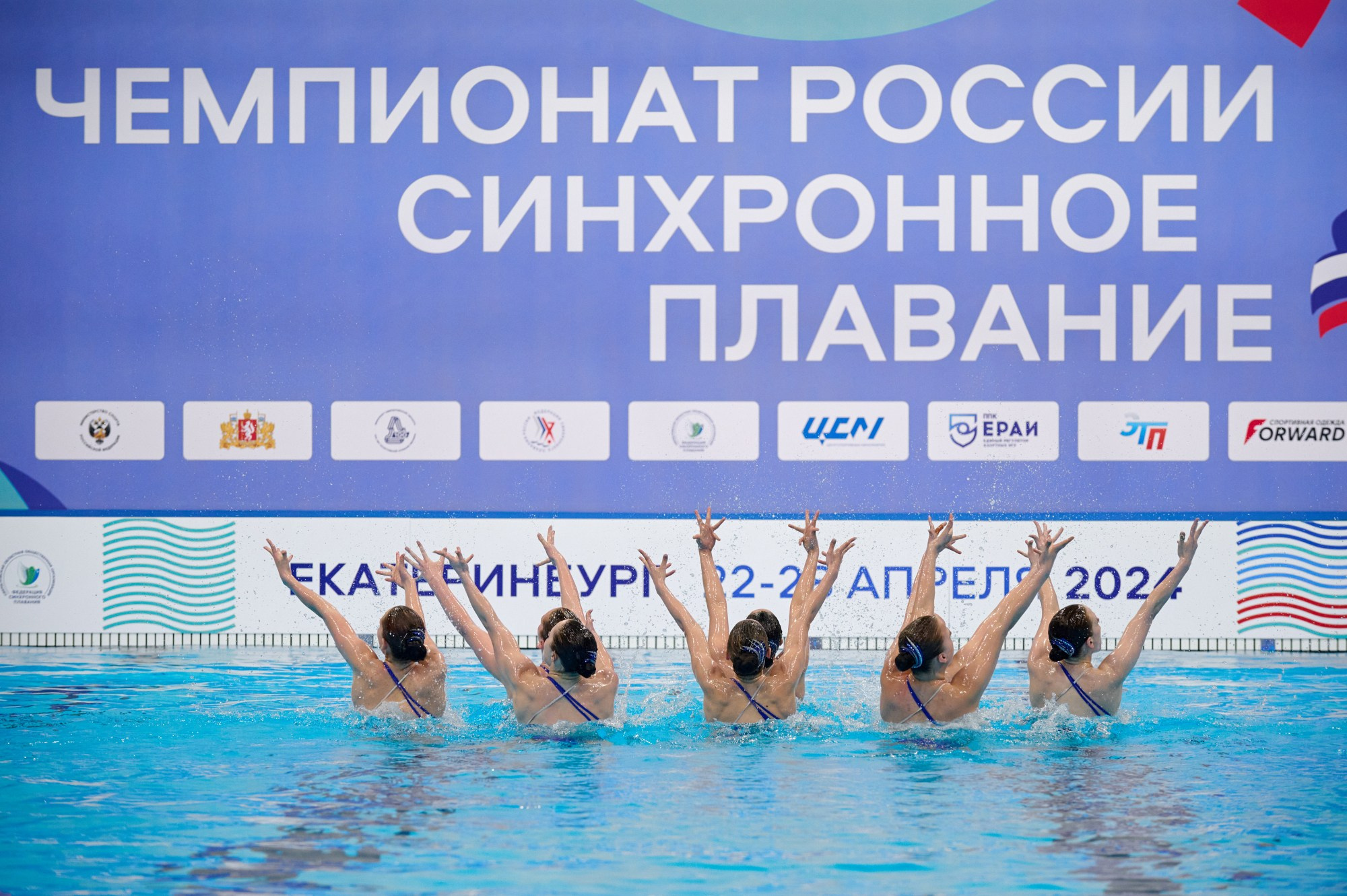 Чемпионат России Синхронное плавание 2024. Мезенцев Евгений фотограф