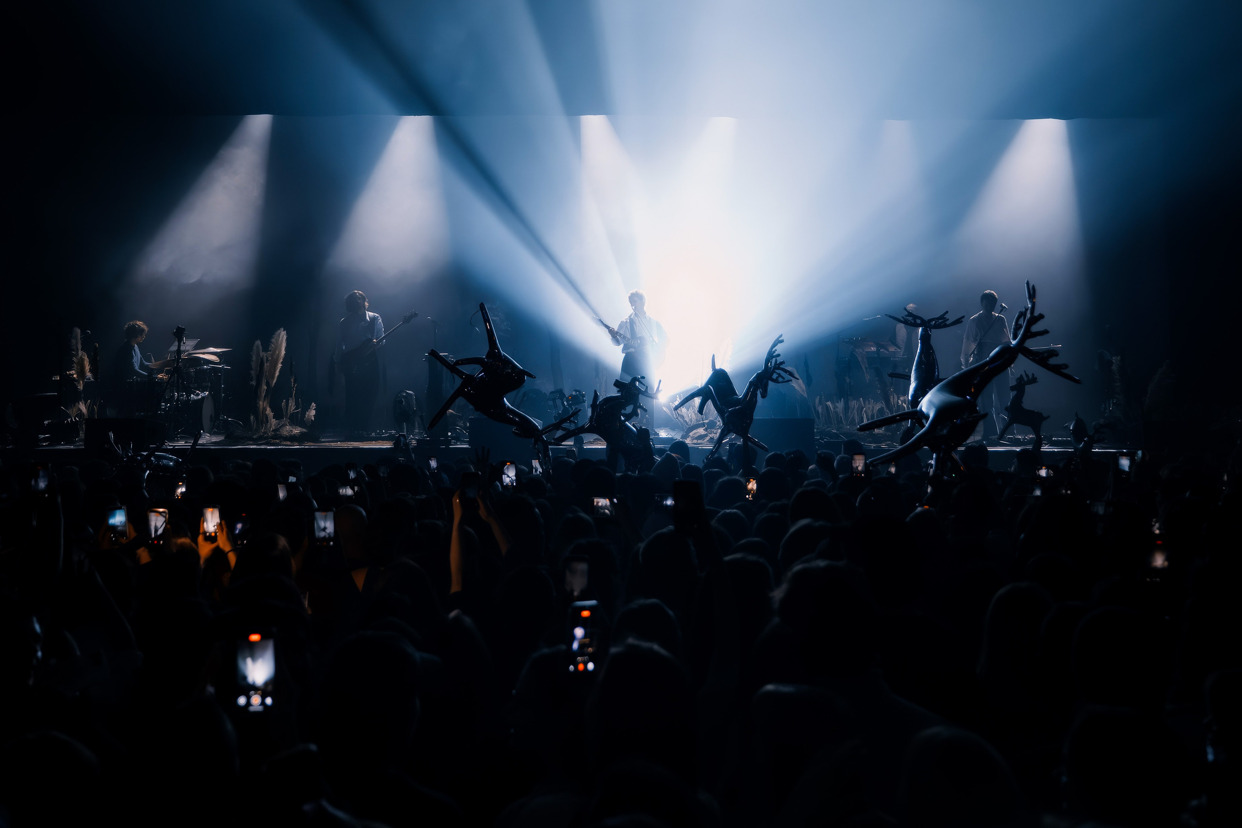 SIROTKIN | SAINT-PETRSBURG | 2026. OOPS