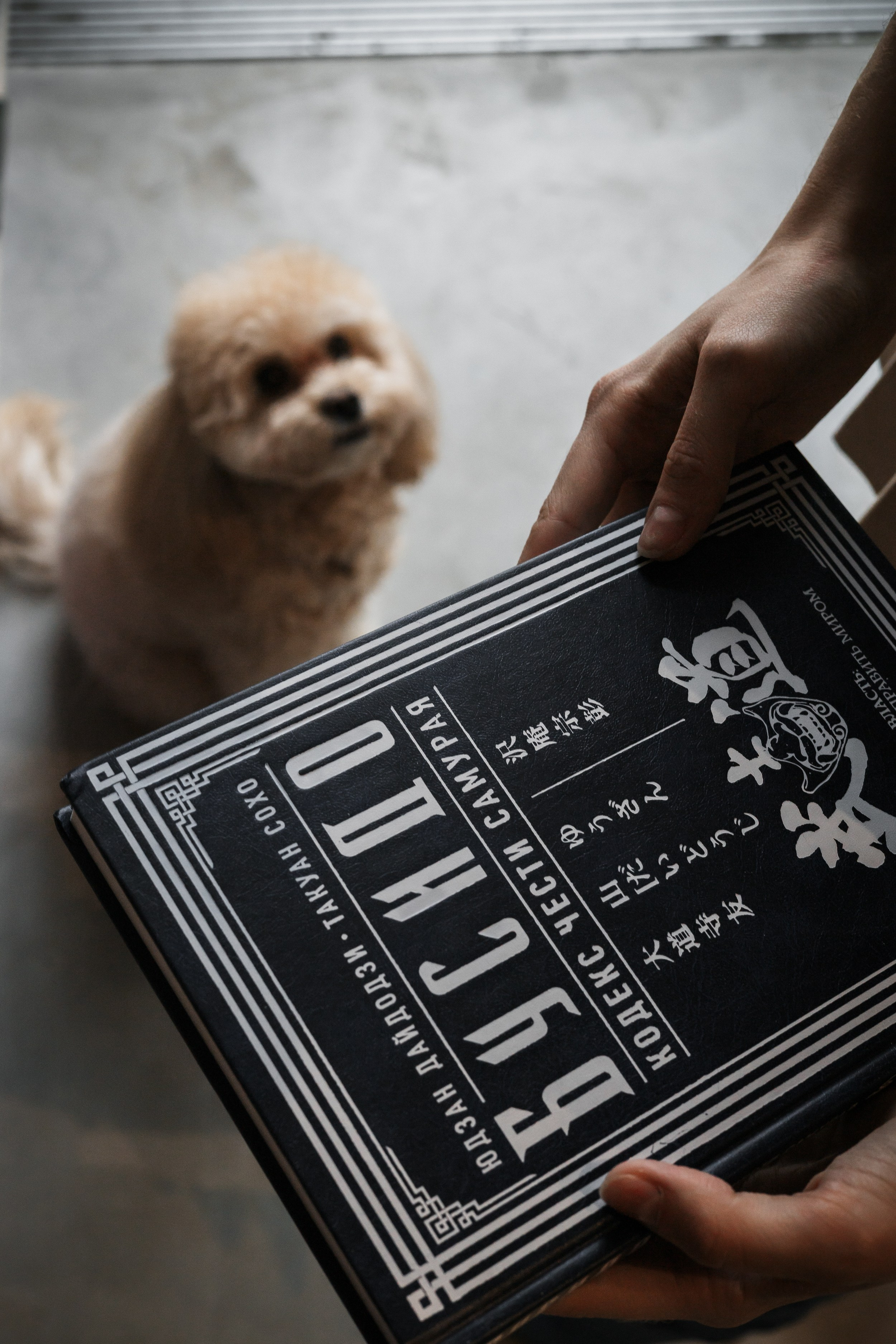 Алина — прогулка