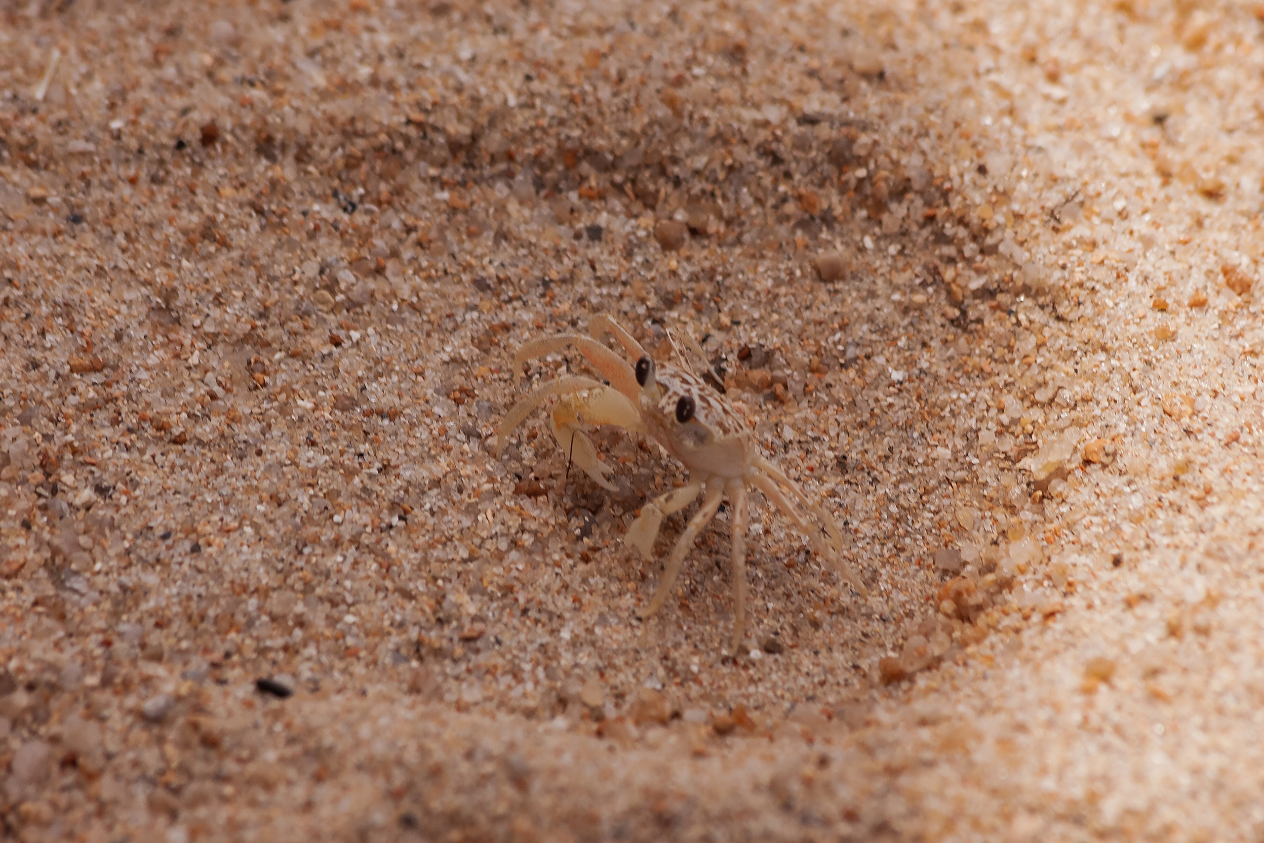 ВЬЕТНАМ 2023 / VIEtTNAM 2024. Главная